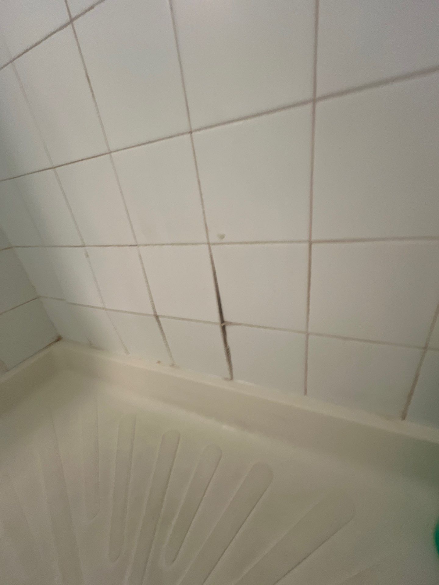 Bathroom Remodel using Onyx by The Shower Company