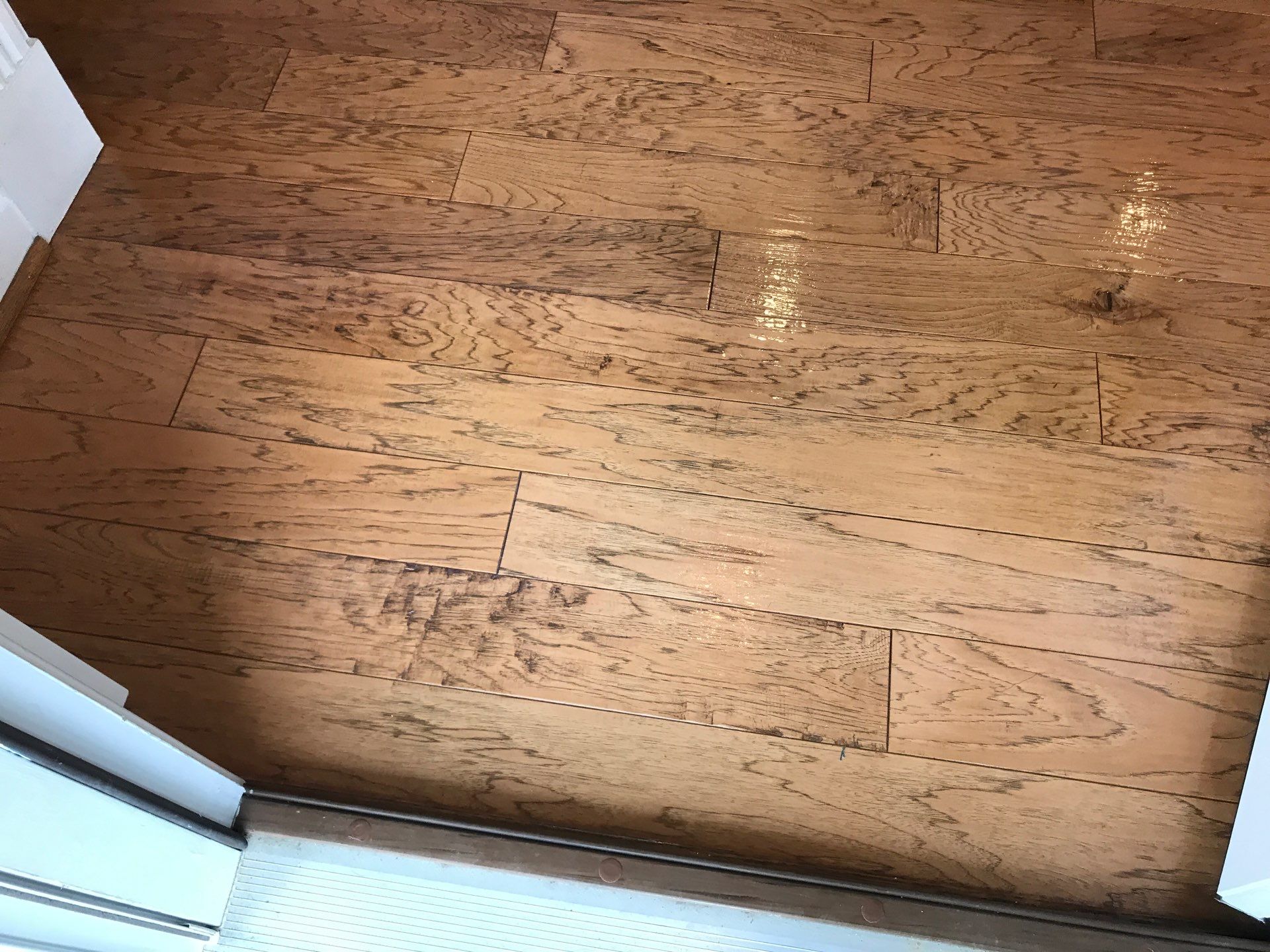 Hardwood Renewal by Monster Clean