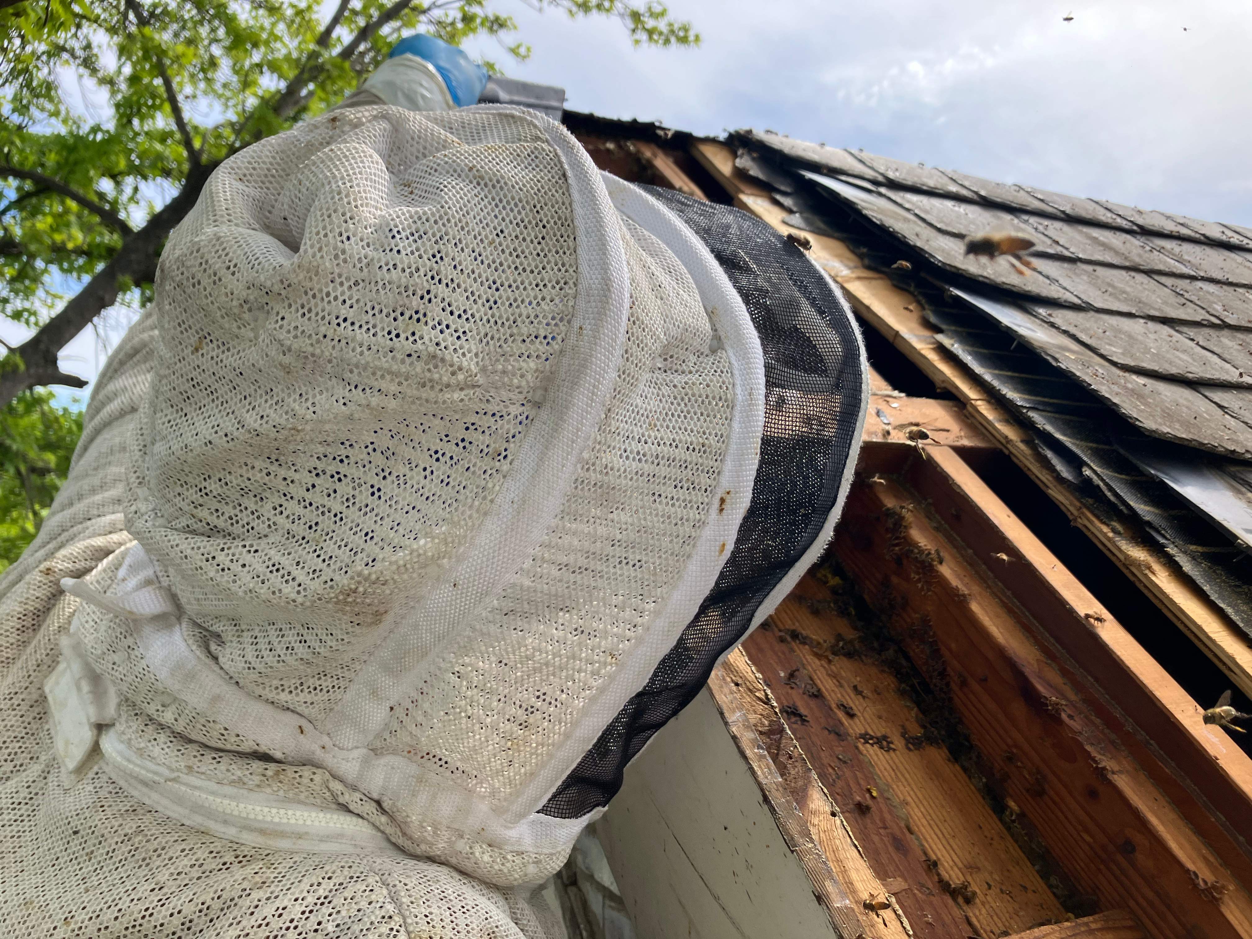 Commercial Roof by Rockwall Honey Bee Company