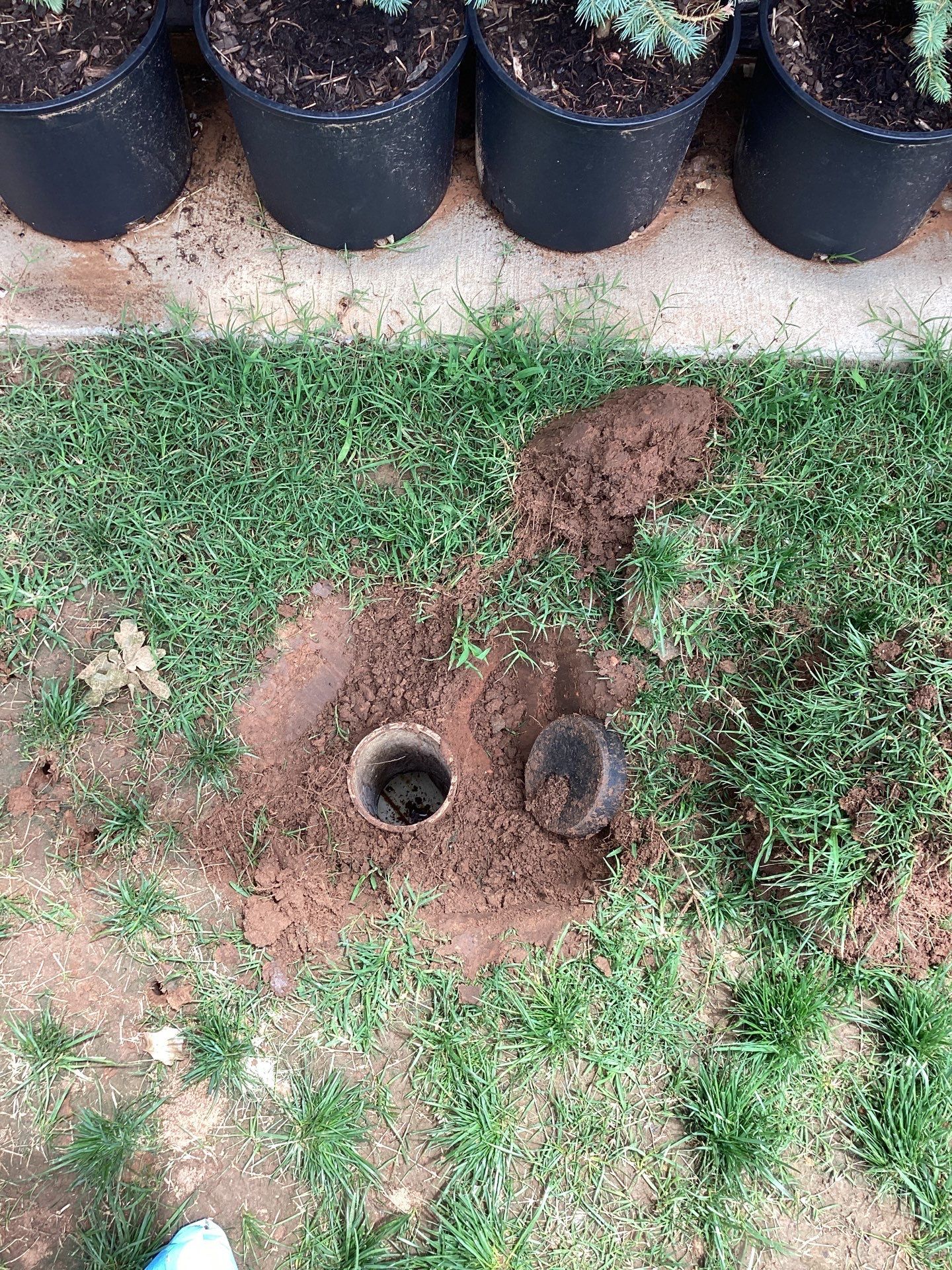 Project in Edmond by PRO-ROOTER