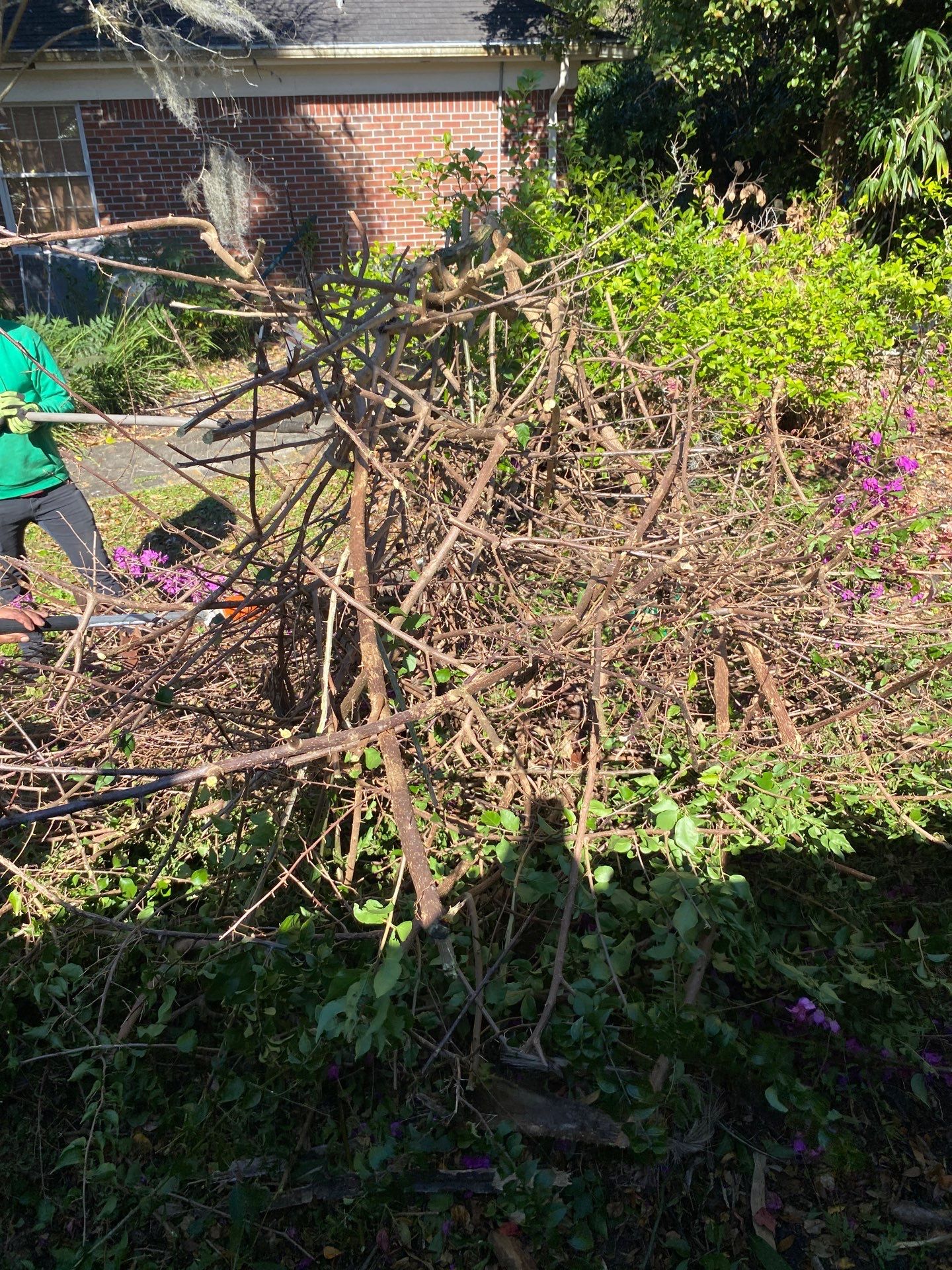 Deerwood Resident | Shrub Removal by ProGreen Services