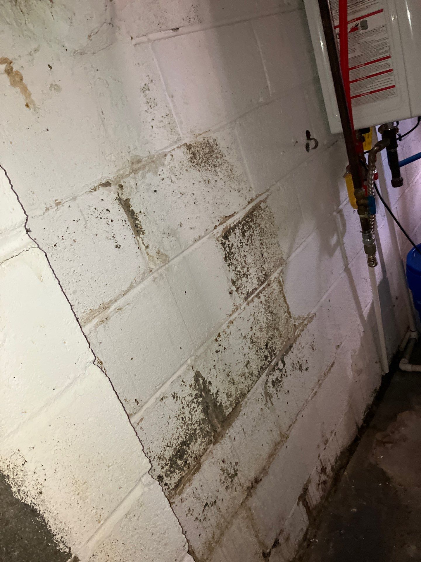 Utility Basement Mold Remediation and Sanitation Corner Case Study by Right On Time Restoration