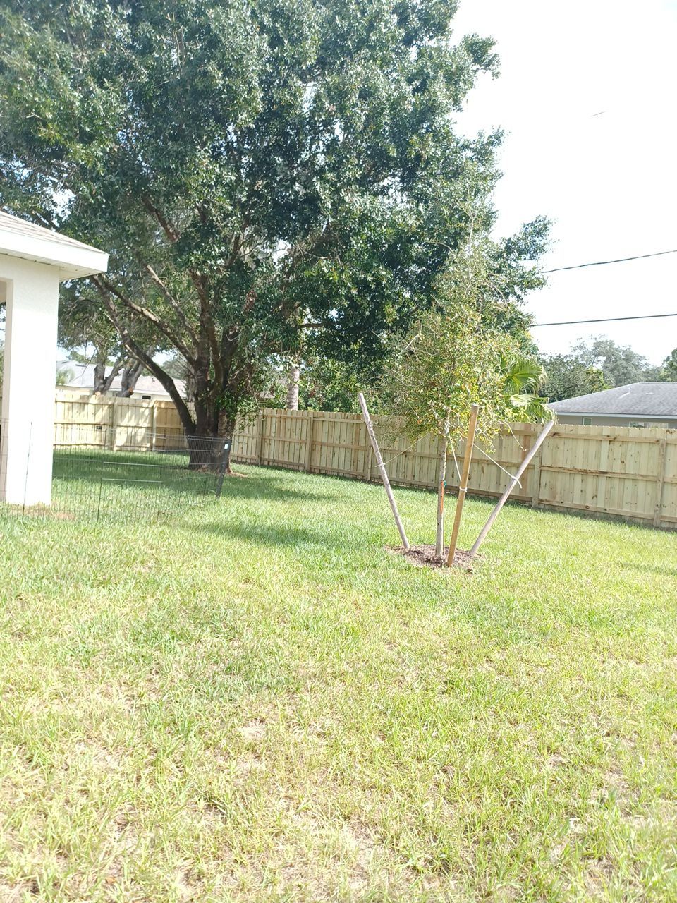Port Charlotte, Florida 6 ft. Tall Board on Board Privacy Fence  by Asap fence and gates, LLC