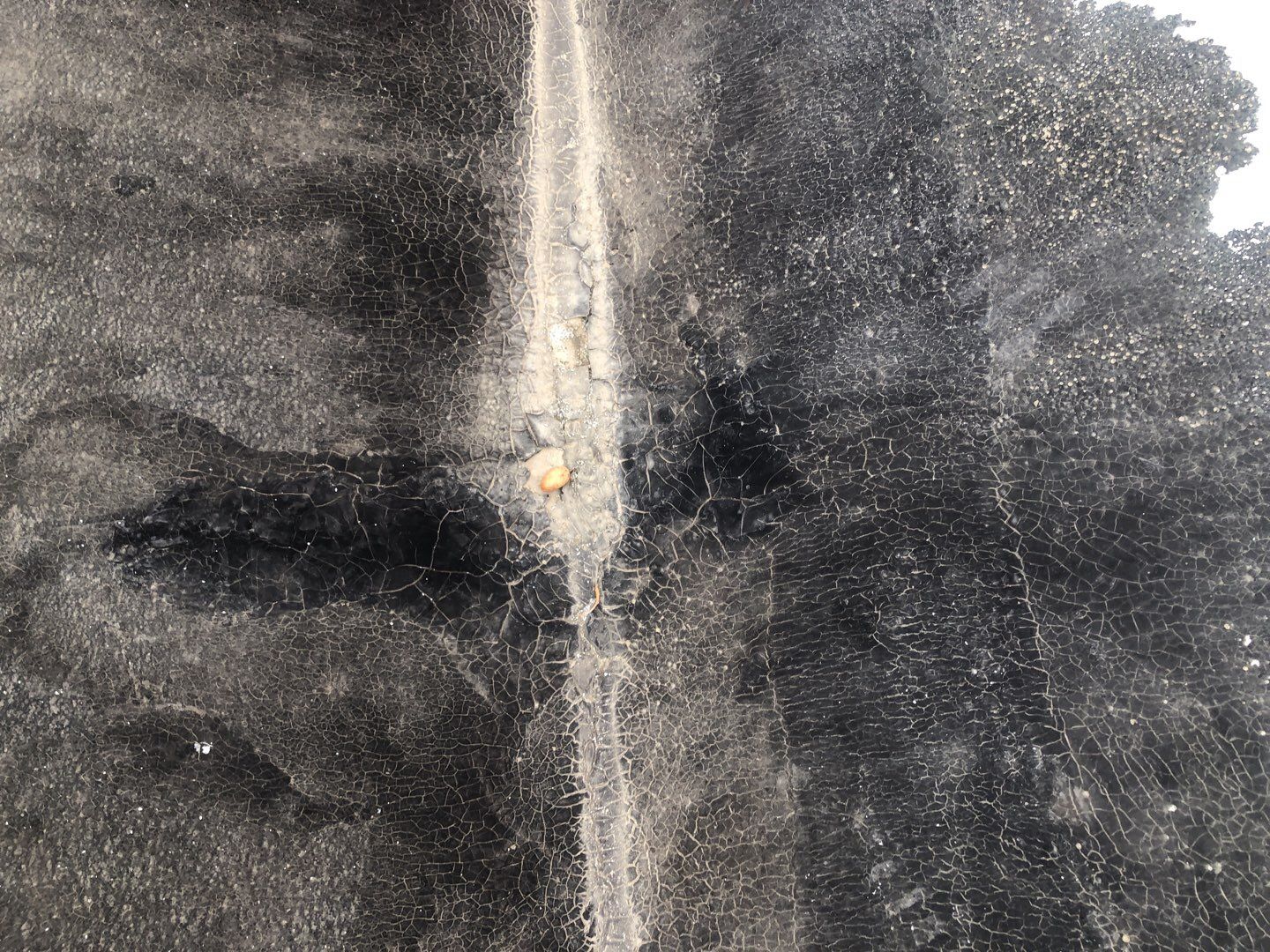Spray foam and coatings using Conklin Benchmark/PUMA XL coatings and spray foam by Straight Edge Roofing Inc