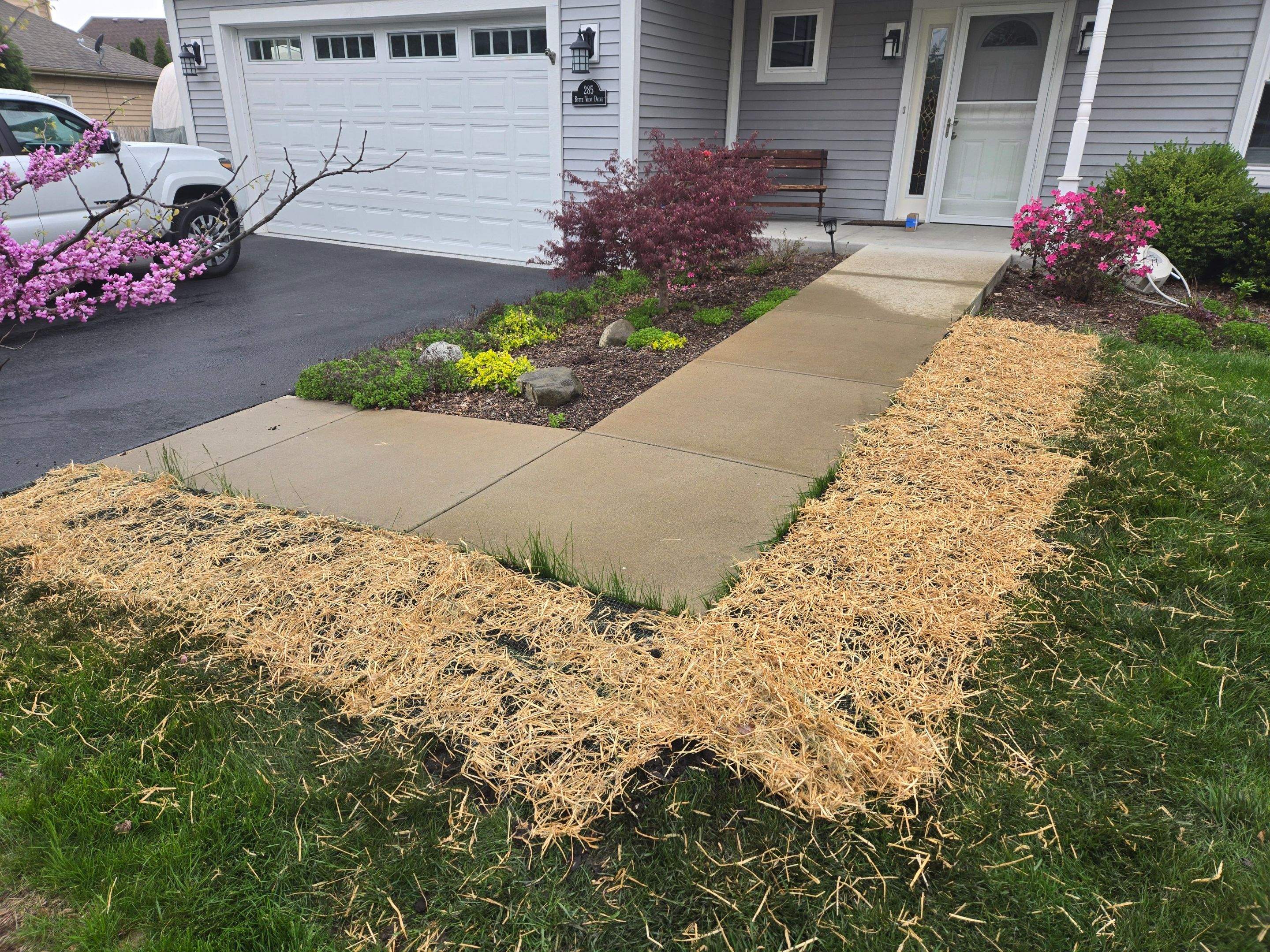 Downspout Discharge Installation & Yard Regrading by Allied Water Services