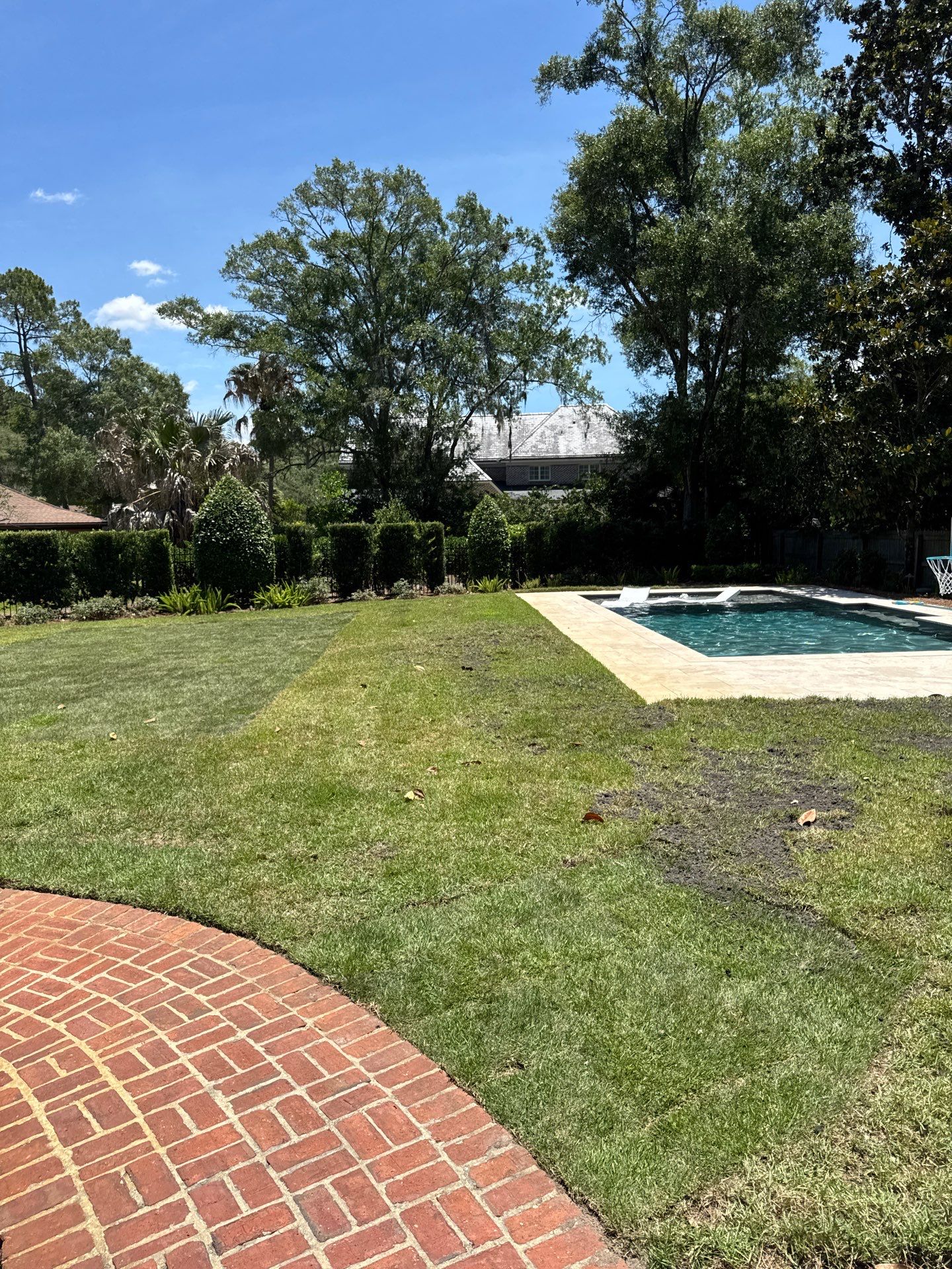 Deerwood Resident | Sod Installation by ProGreen Services