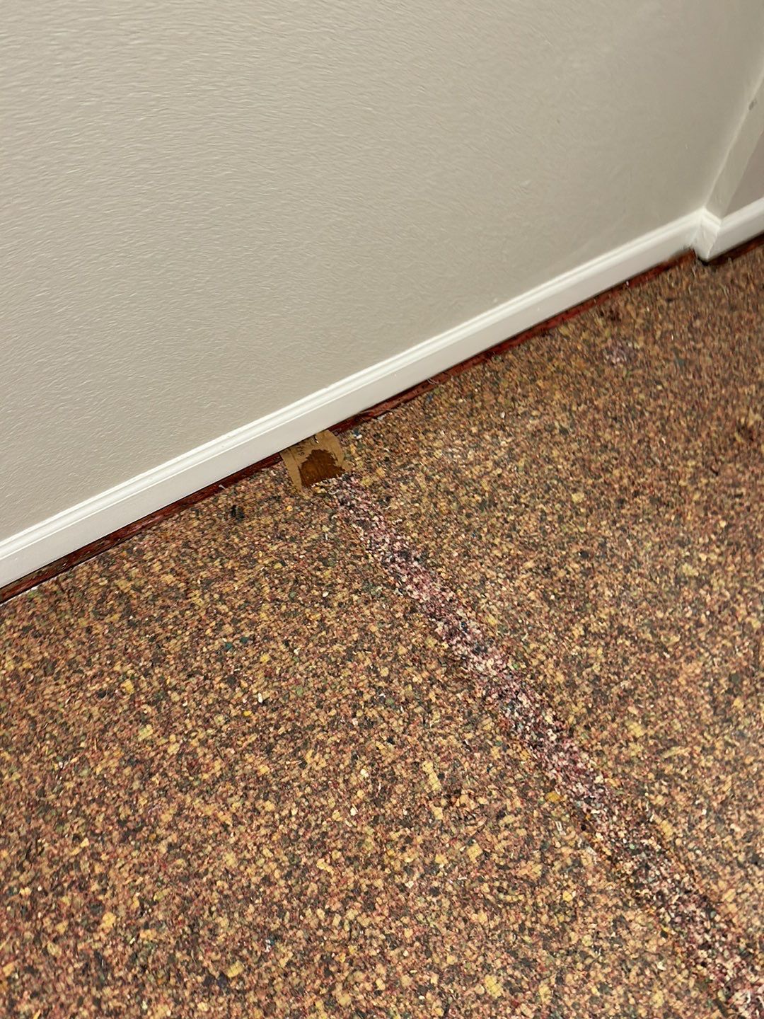 Water Damage by Accountable Home Services