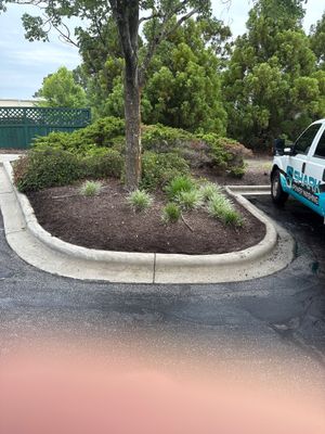 Concrete Cleaning in Wilmington by Shark Power Washing
