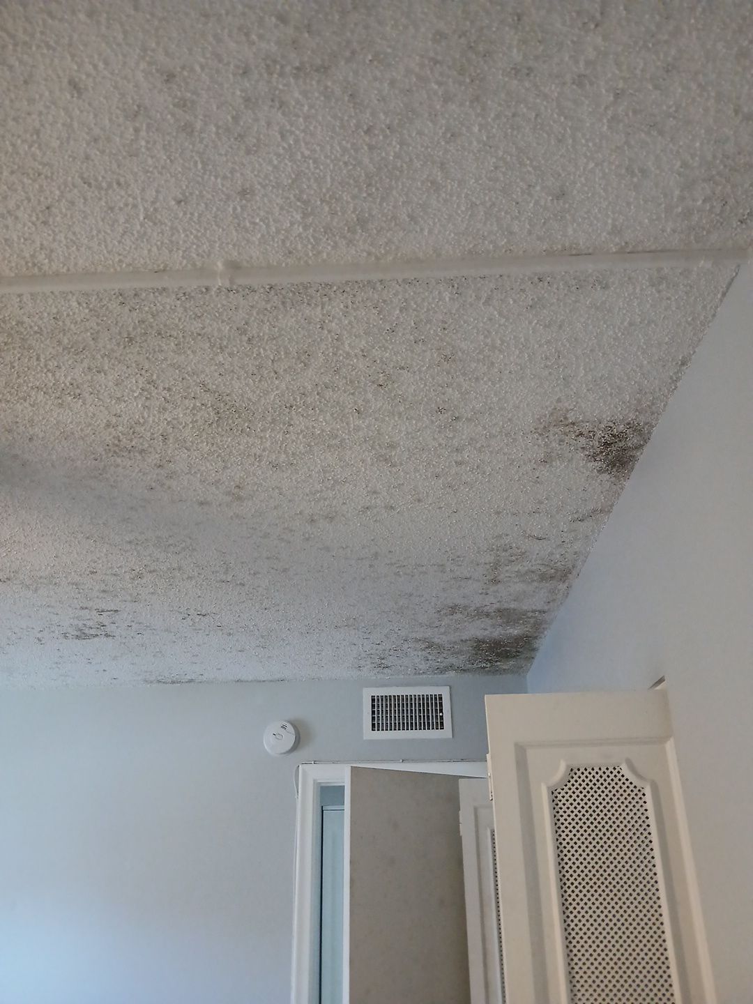 Mold Remediation and Moisture Detection Services in West Palm Beach by SuperClean