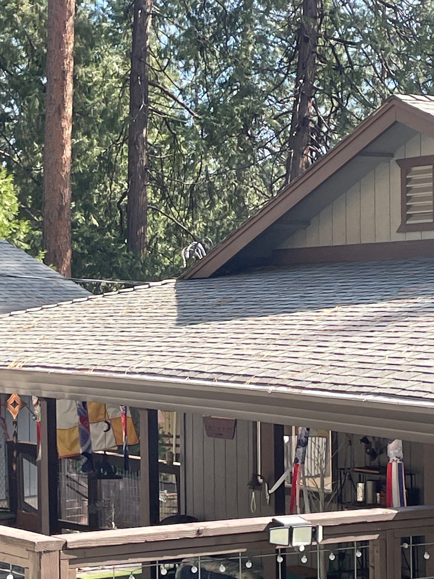 Roof Rejuvenation using Roof Maxx Treatment by Roof Maxx of Folsom