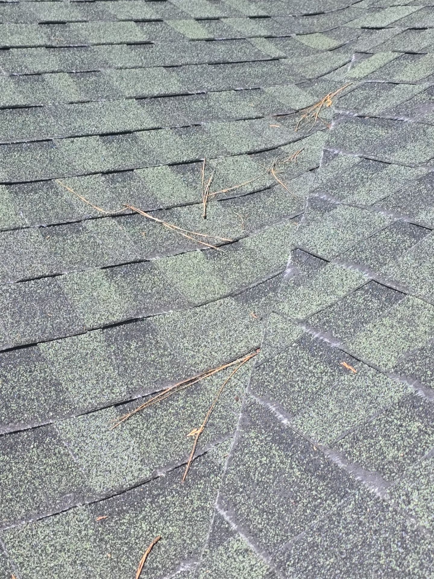 Roof Rejuvenation using Roof Maxx Treatment by Roof Maxx of Folsom
