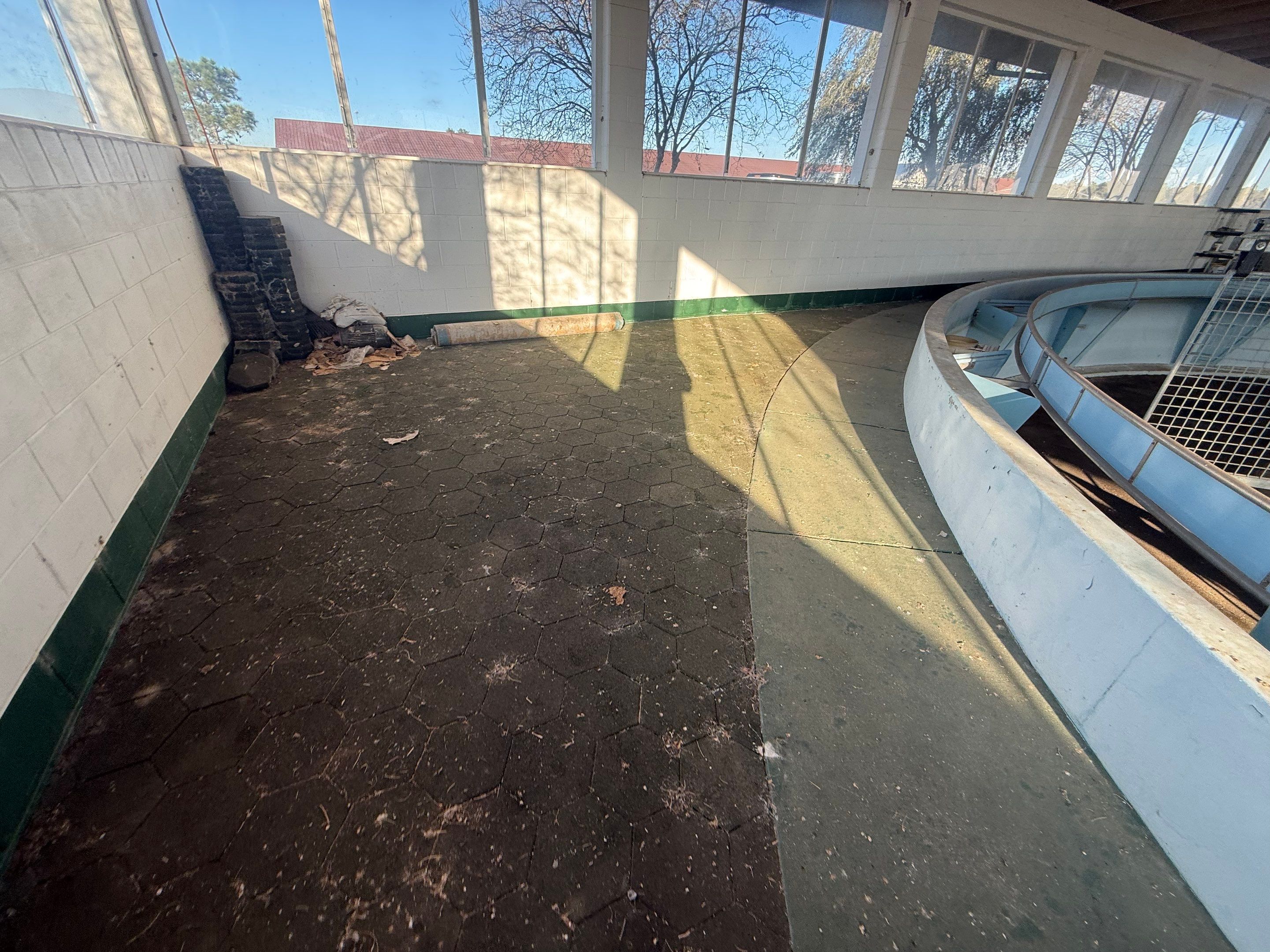 Horse Walker Cleaning Project by Infinite Exteriors LLC
