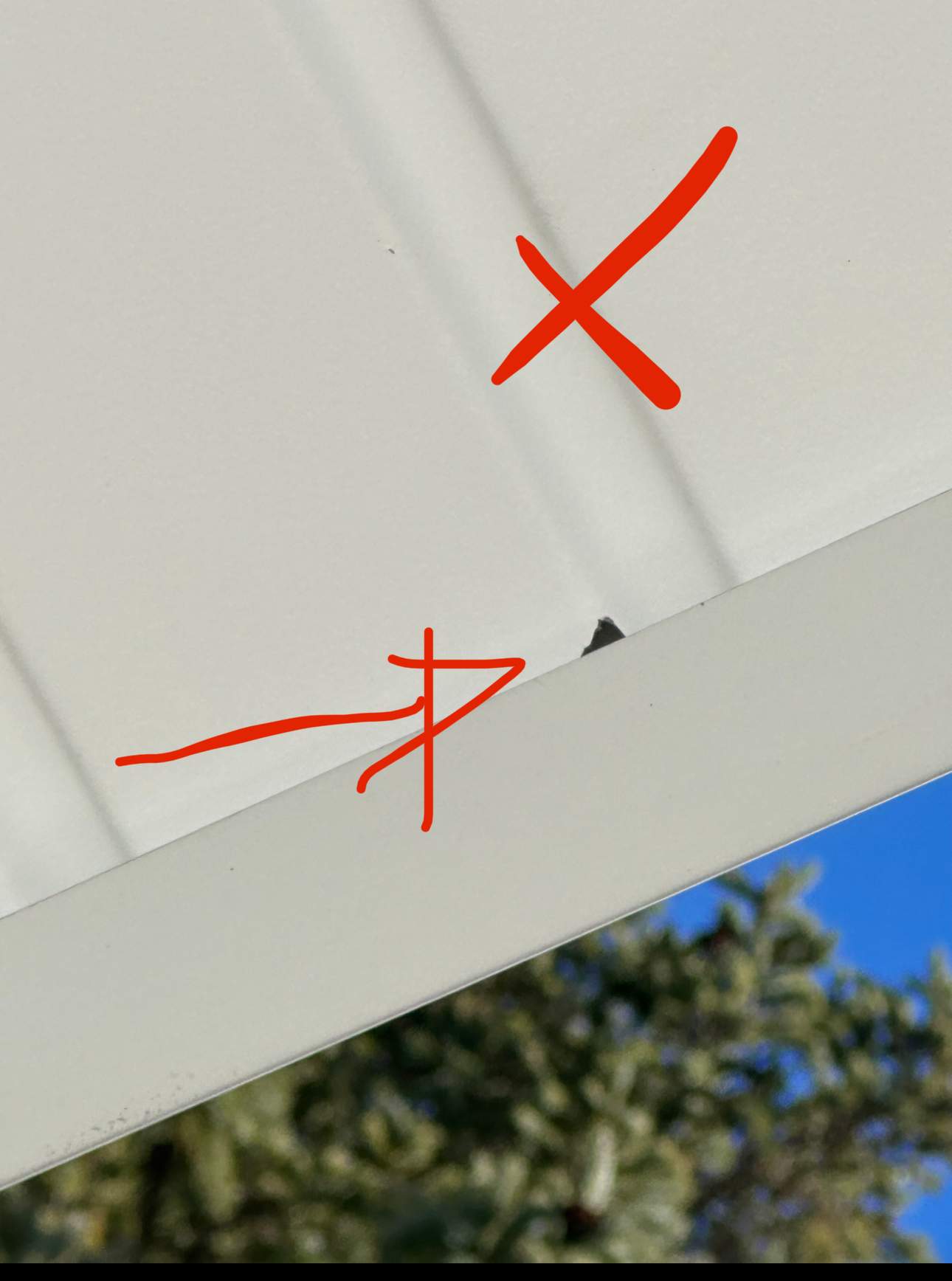 Siding Installation using Everlast Composite by Loyalty Exterior Solutions 