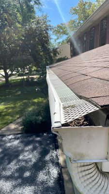 Turtle Shell gutter protection installation in Naperville, IL 60540, photograph 22