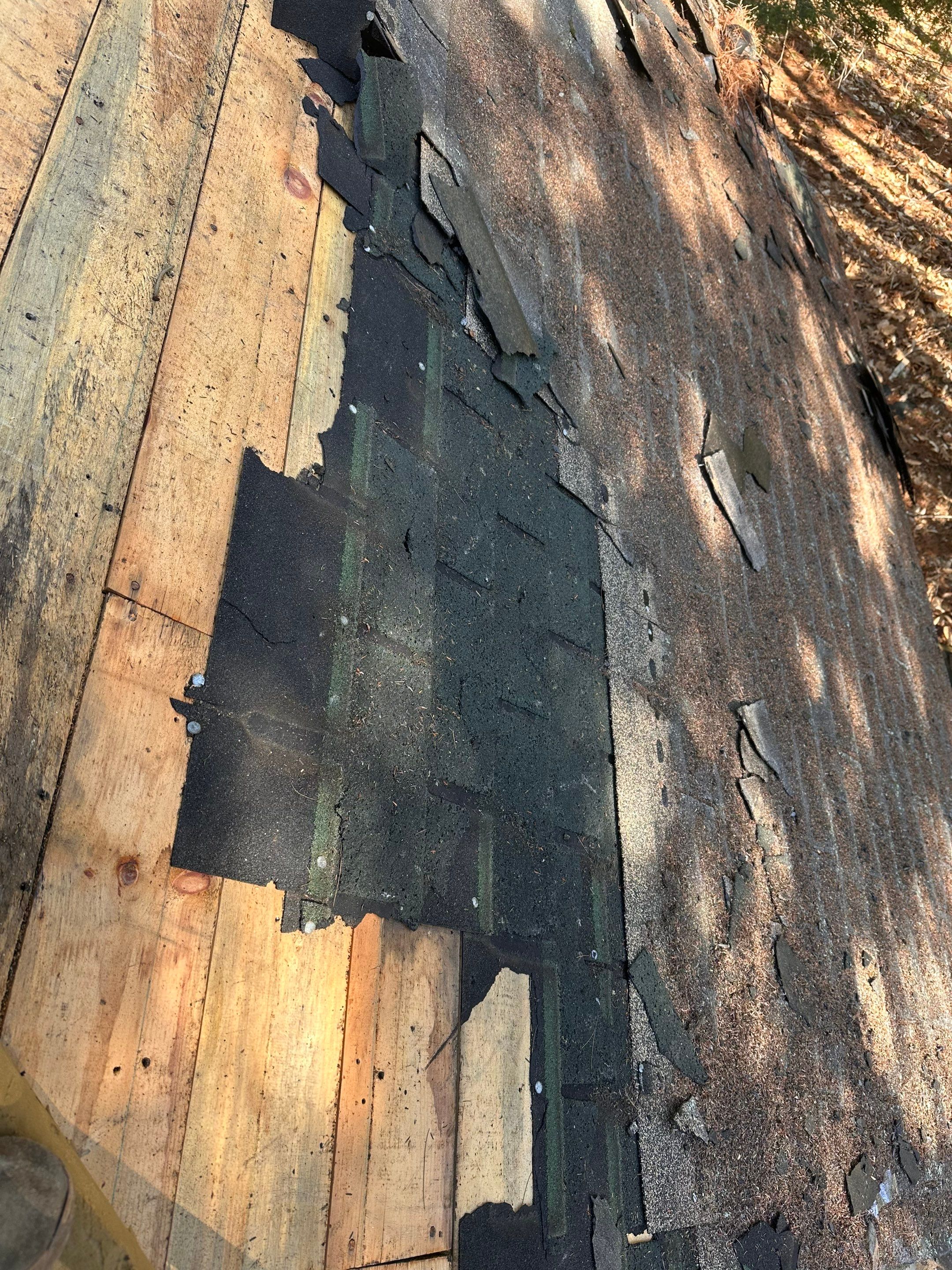 Wooden Cabin Exterior Improvements and Outdoor Shower Build in Bristol by Tall pine roofing