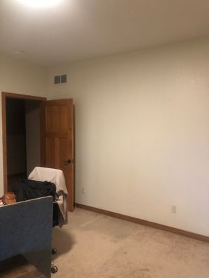 Interior Ceiling and Wall Finishing