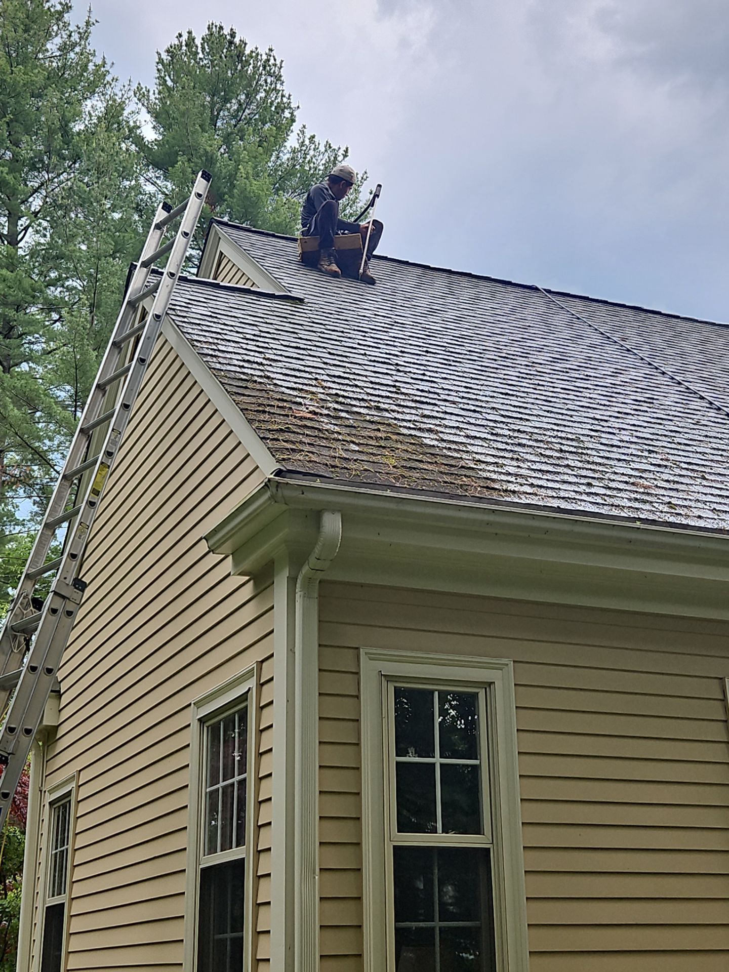 Roof Cleaning | Concord by Mighty Dog Roofing of Greater Middlesex County