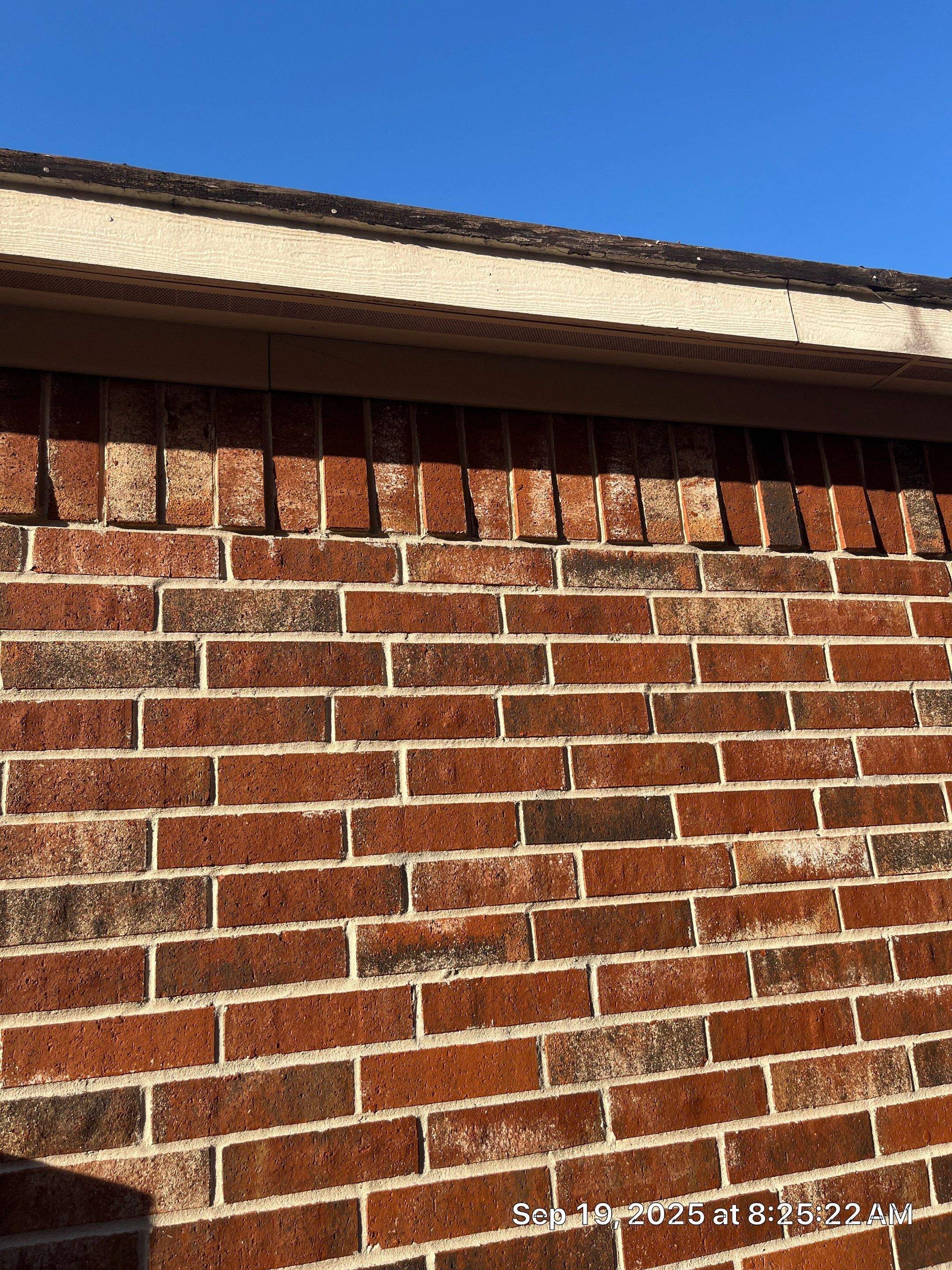 Project in Spring by Roof Guard And Construction