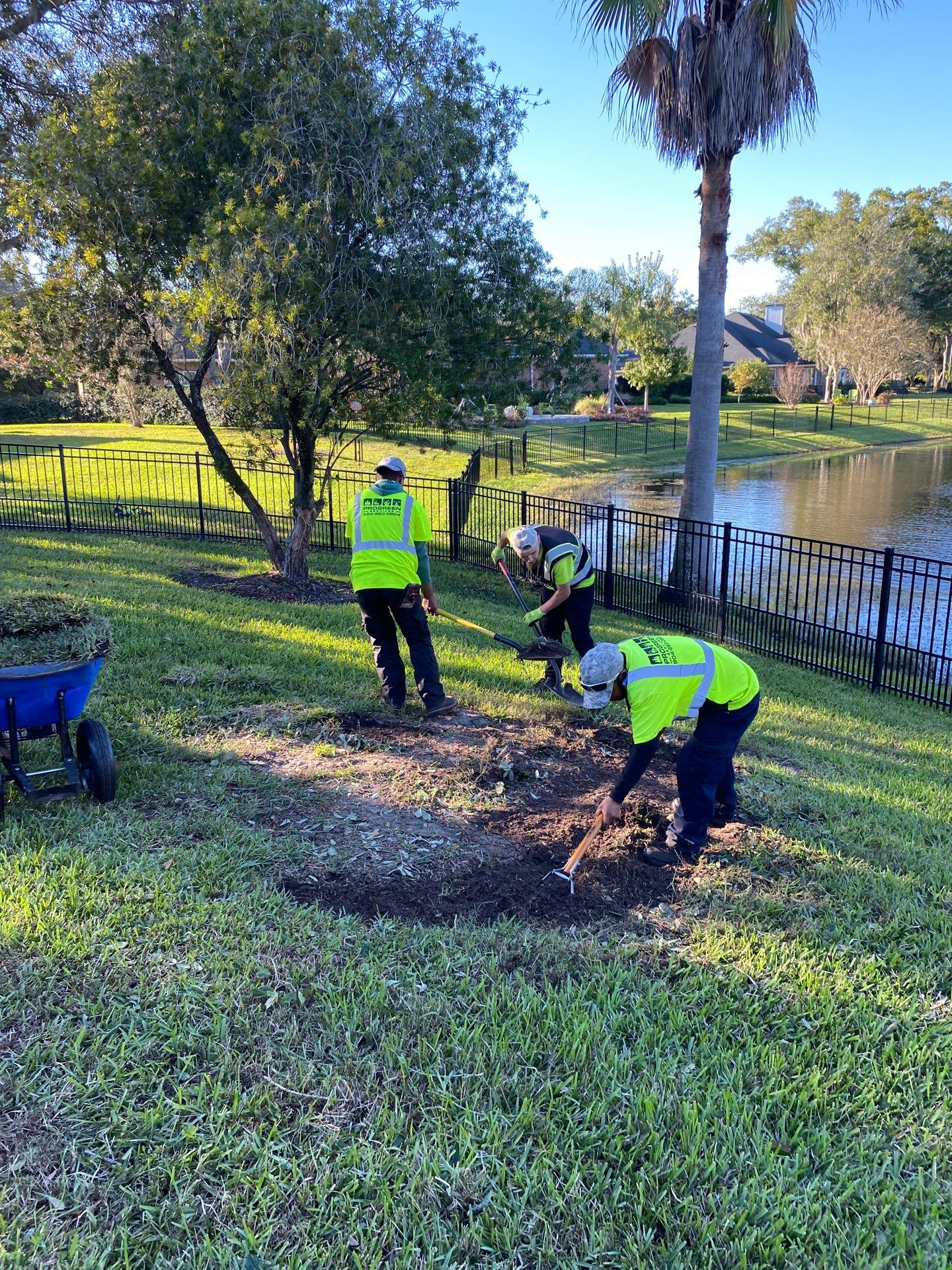 Deerwood | Tree Trimming & Sod Install | Residential by ProGreen Services