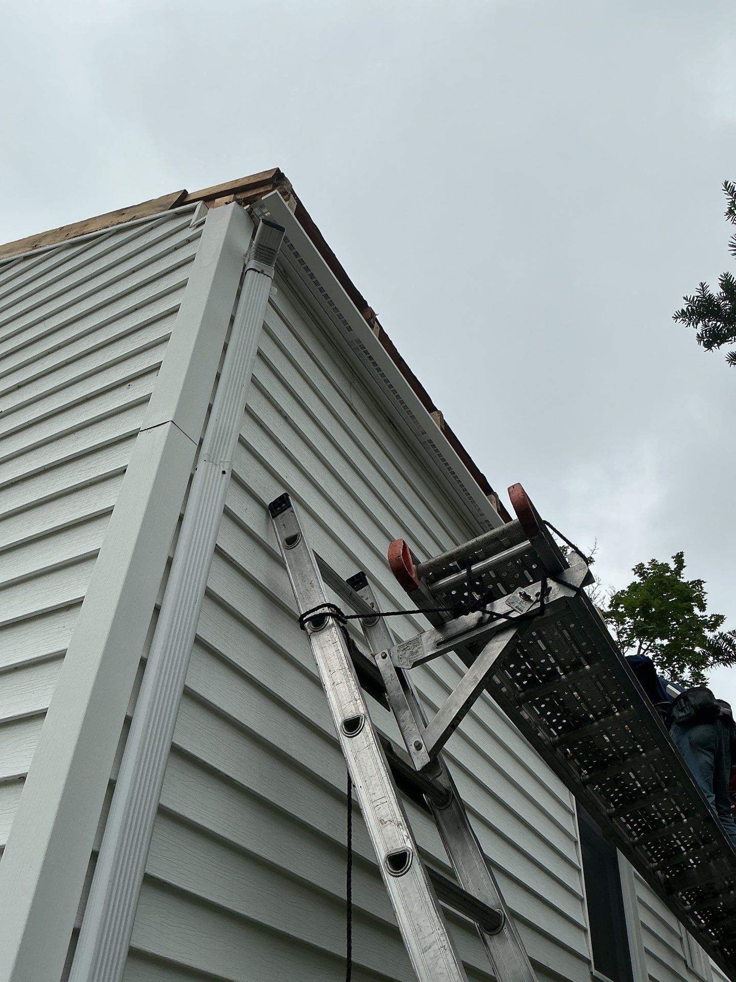 Gutters & Roofing | Acton by Mighty Dog Roofing of Greater Middlesex County