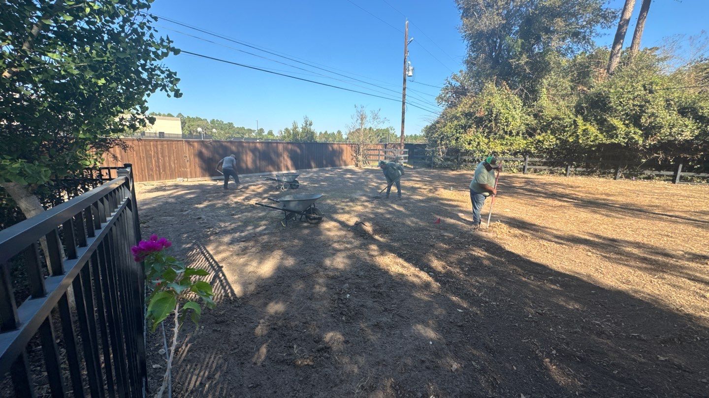 Mr. Jeff — Backyard Drainage & Grading Improvement by Texas Urban Elements