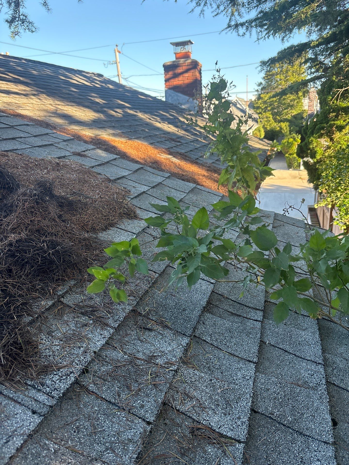 Comprehensive Gutter and Roof Debris Removal in Point Lookout by Above All Gutters