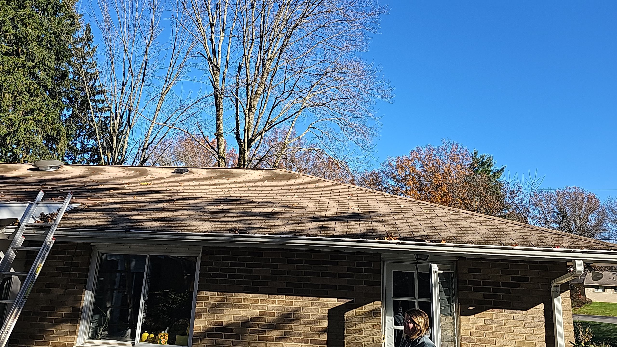 Atlas Pinnacle, Color, Black Shadow, Drip Edge, Color, Black by Eagle Eye Roofing