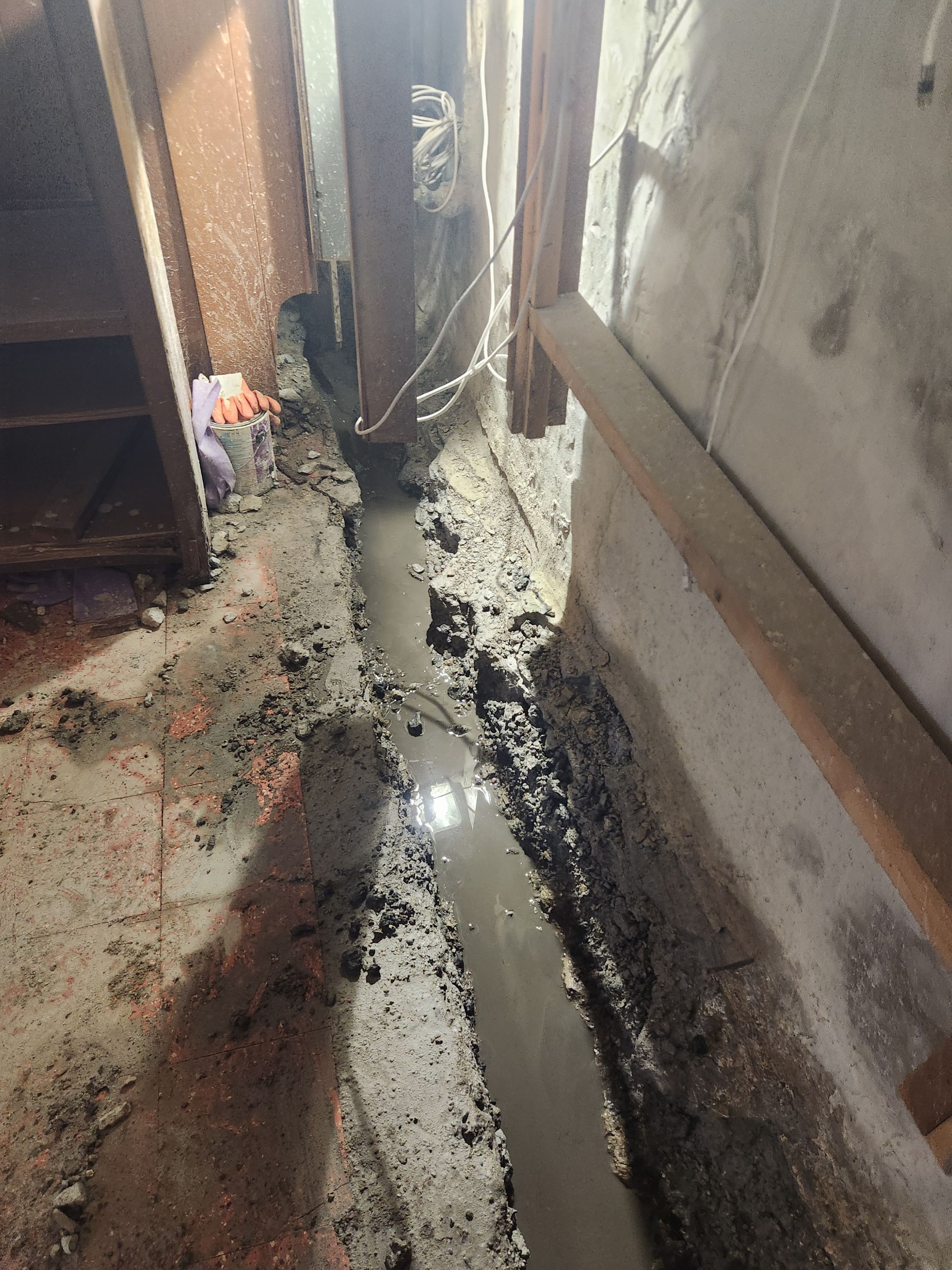Interior French Drain & Mold Remediation Little Falls NJ by Pure Service Pro, LLC 