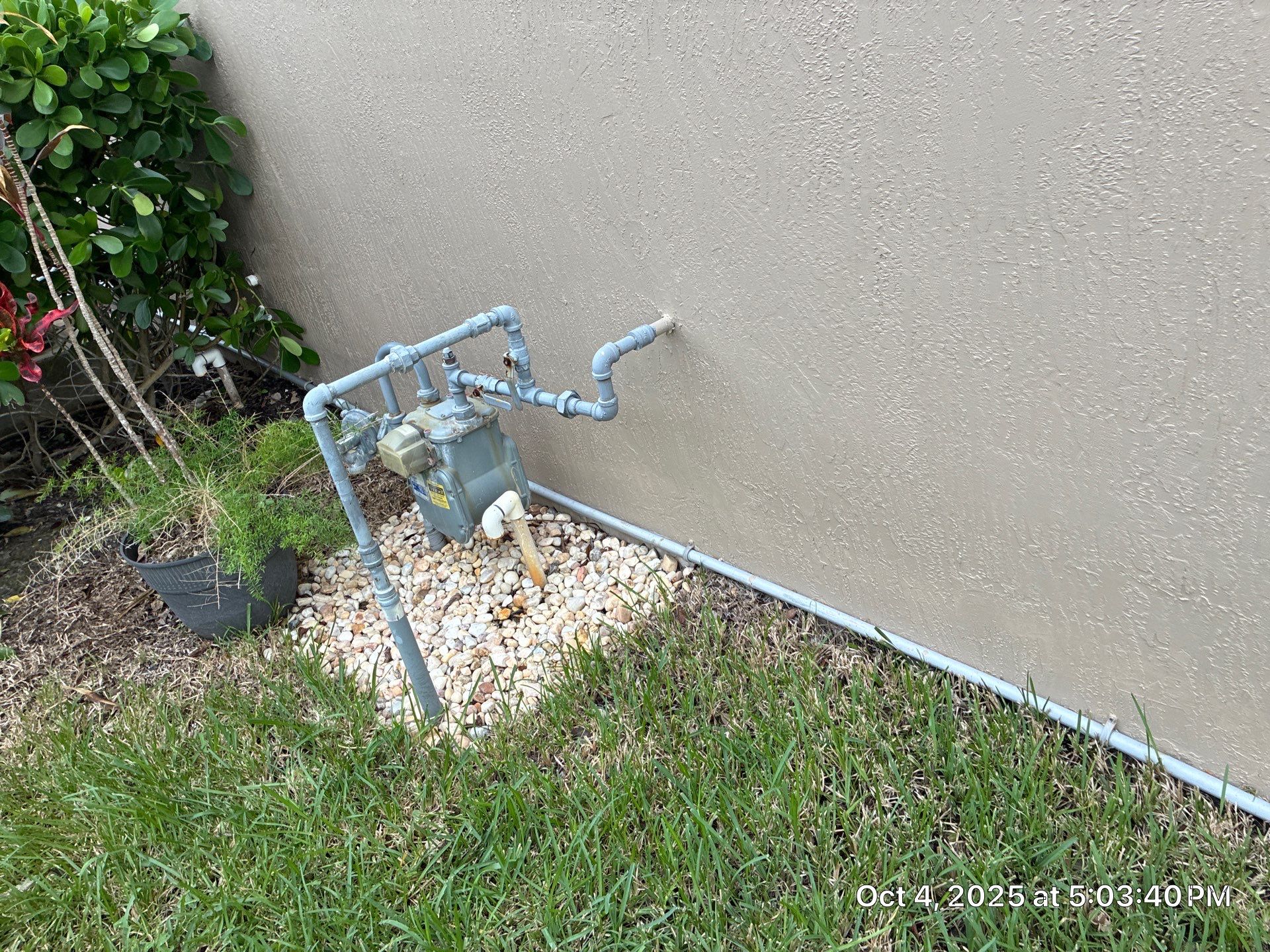 Heron Bay Parkland Painting by BKB Pressure Cleaning LLC