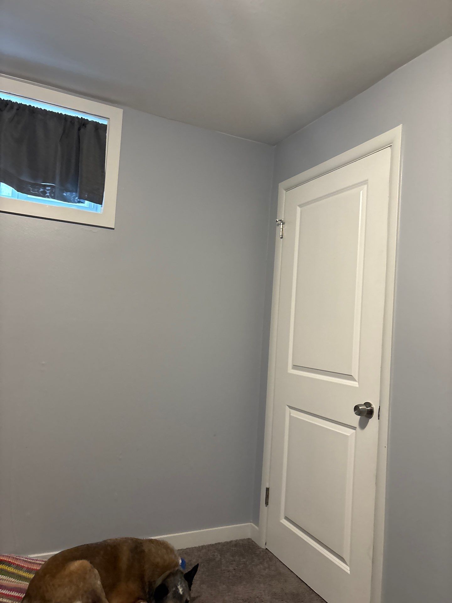 Arvada Interior Drywall Repair and Horizontal Blind Installation by CompanyCam Sales Demo