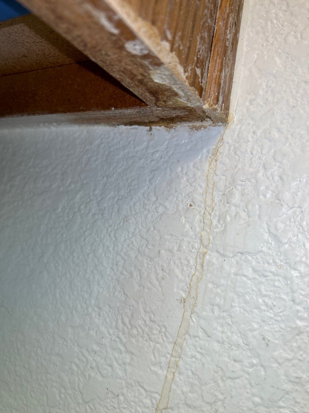 Water Damage by Accountable Home Services