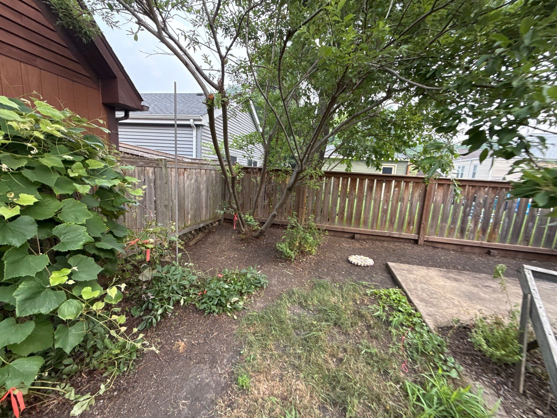 Donna L. - Arlington Heights, IL by A&N