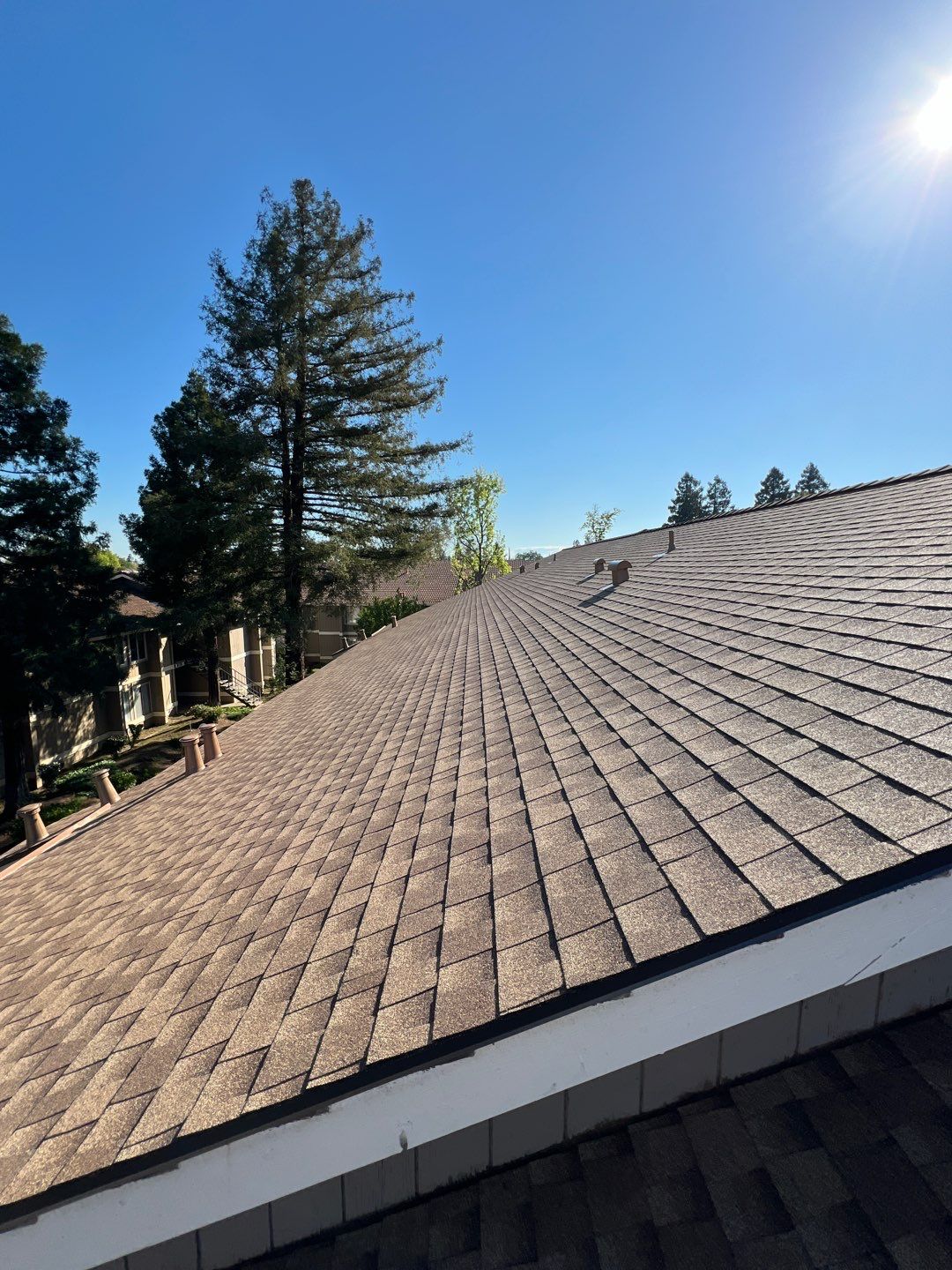 Removed tile from roof and replaced with shingles by Straight Edge Roofing Inc