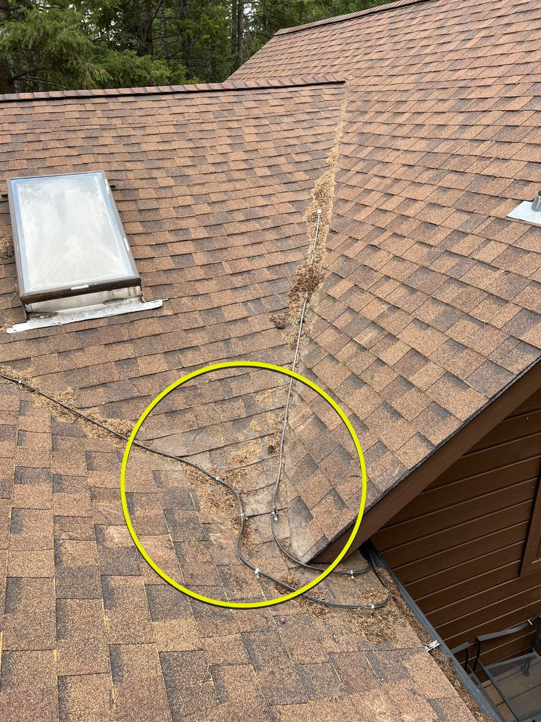 GAF Timberline HDZ - Hunter Green by Montana Roofing Solutions