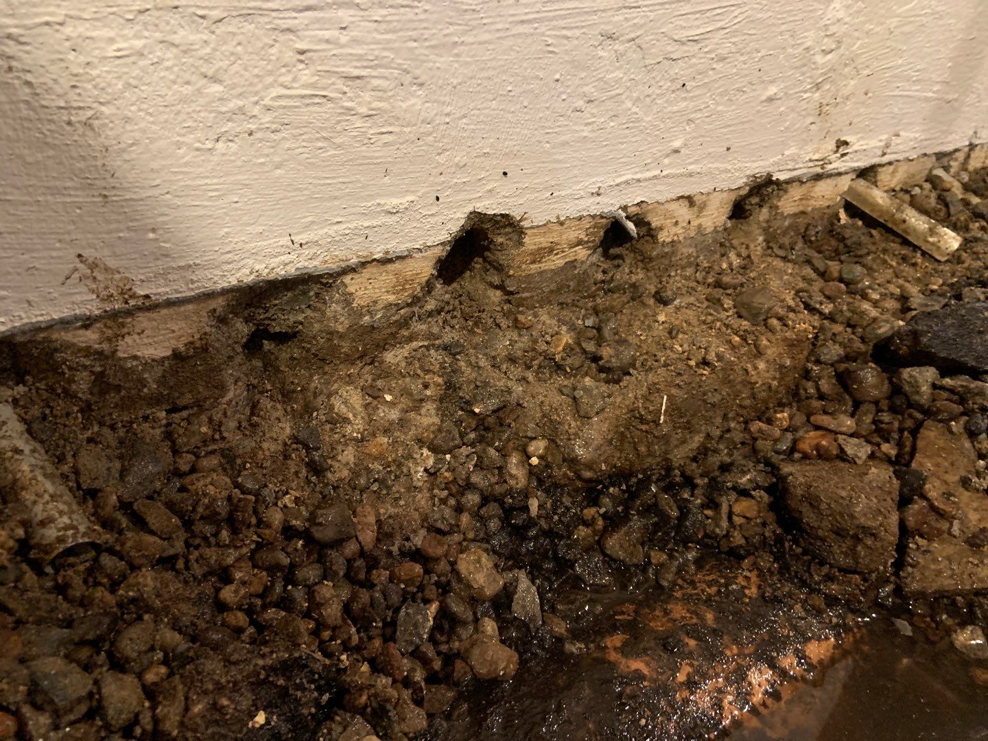 Custom Dual Sump System for Maggie by Waterproofing Northeast