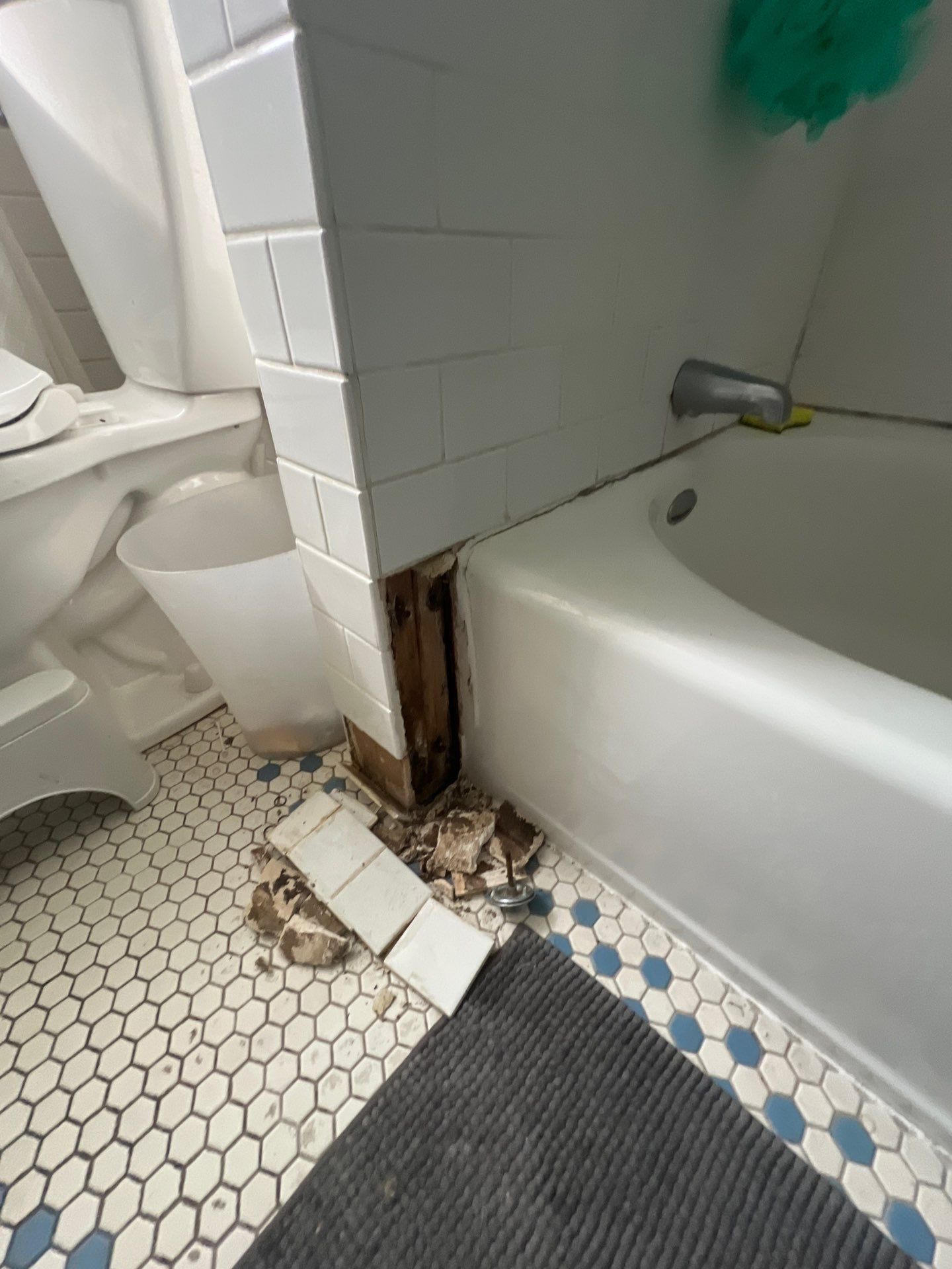 Bathroom Remodel using Bathtub by The Shower Company