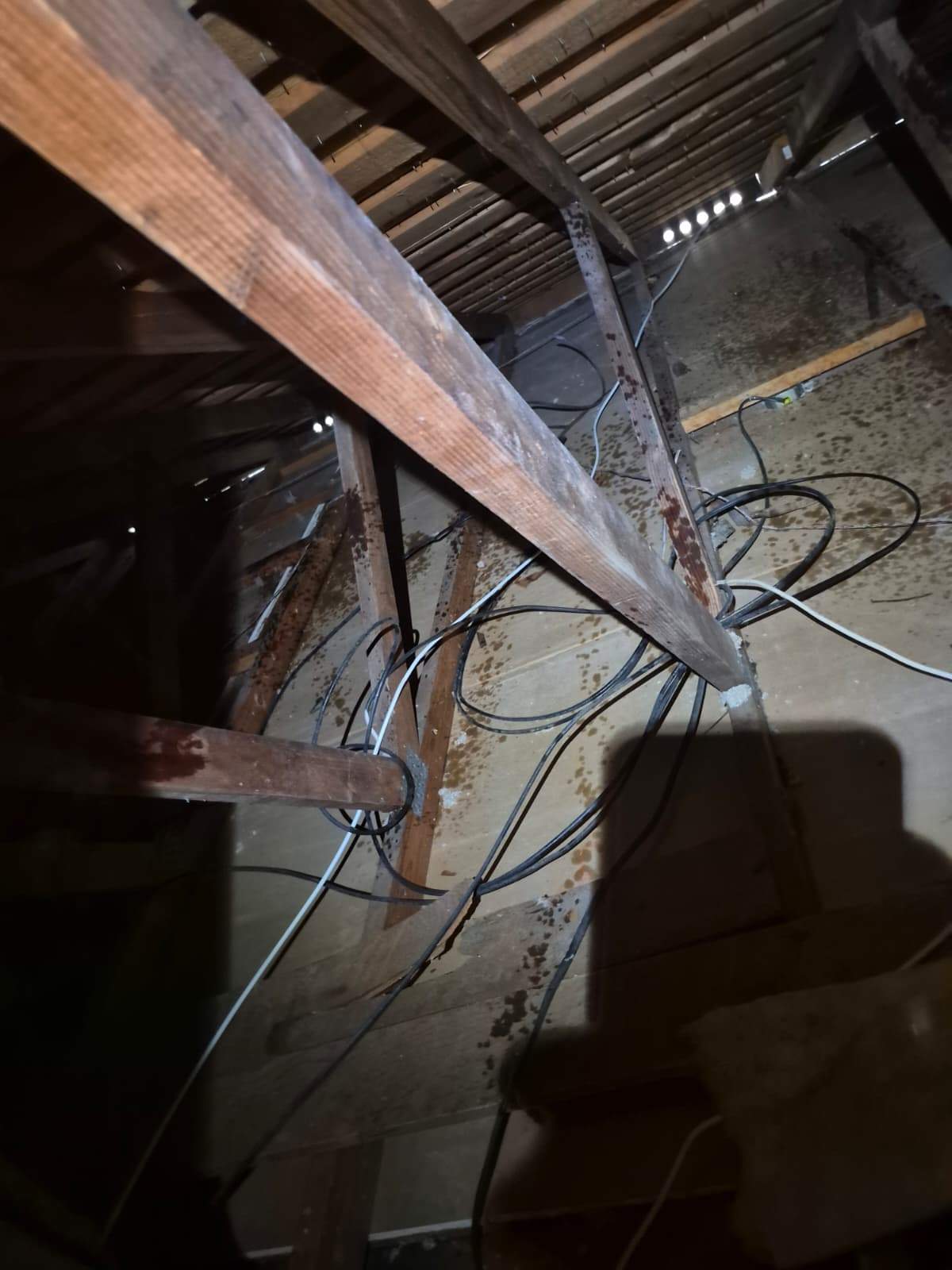 Project by Advanced Attic Solutions by Advanced Attic Solutions