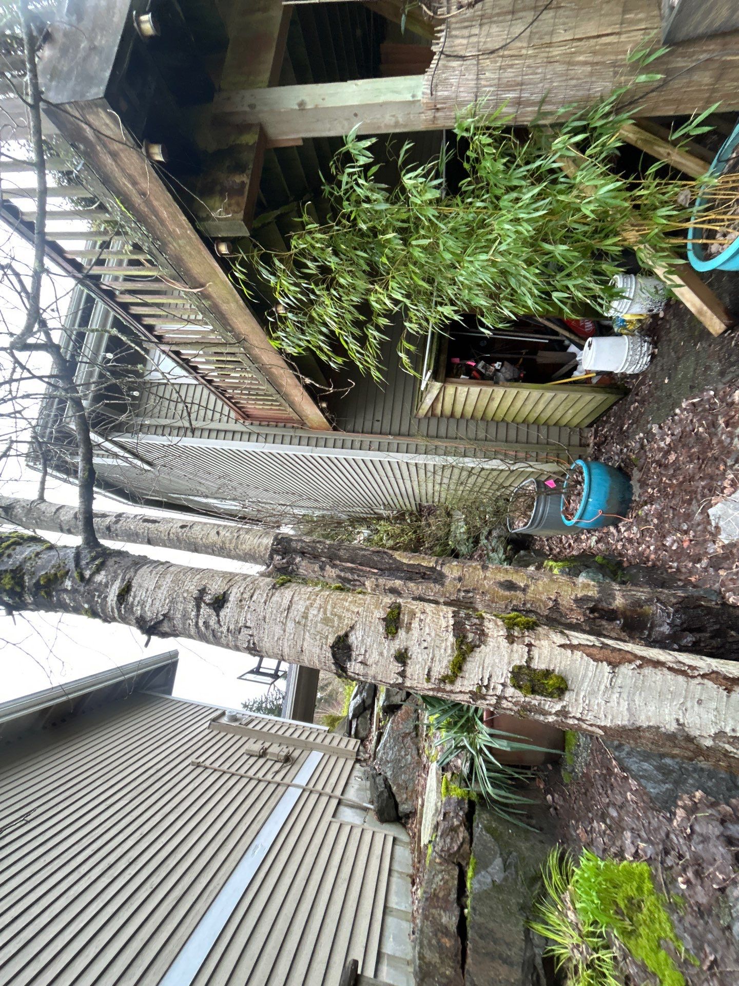 Project in Bellevue by Peaks and Valleys Construction