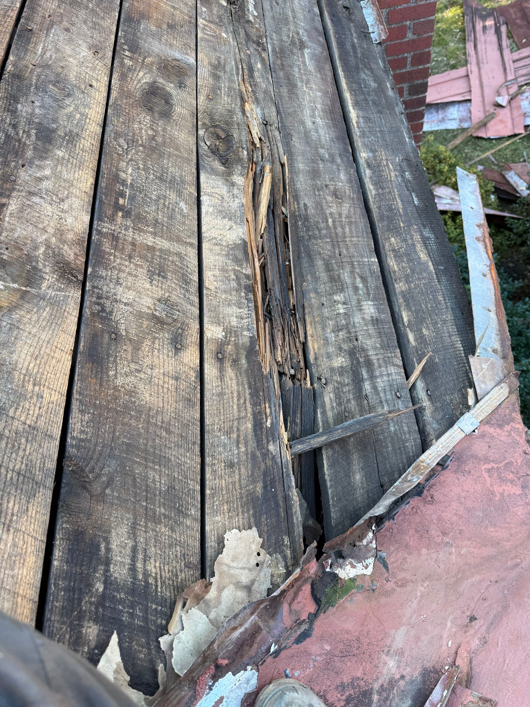 Alexandra: Residential Metal Roofing  by RM Banning, Inc.