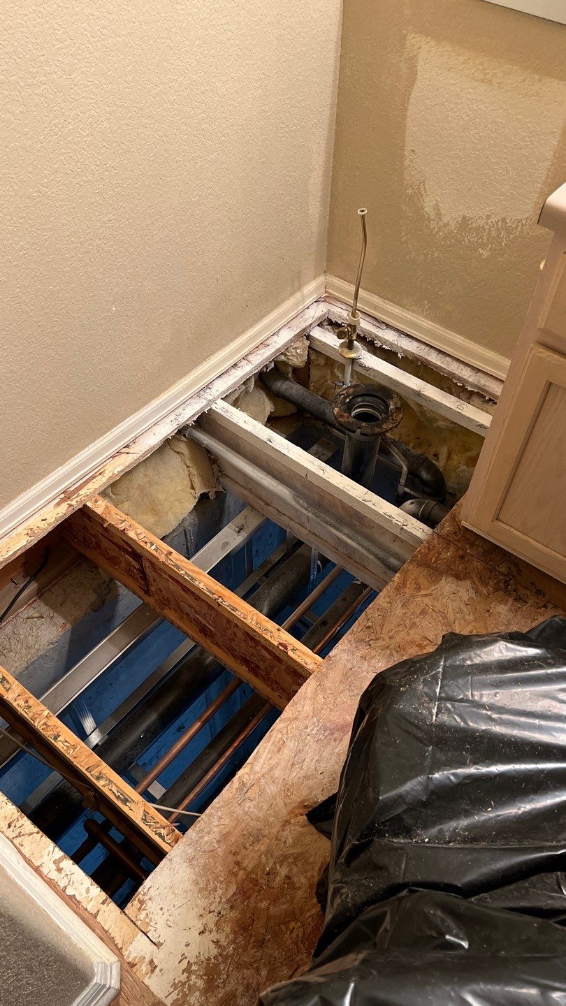 Mold Remediation by Accountable Home Services