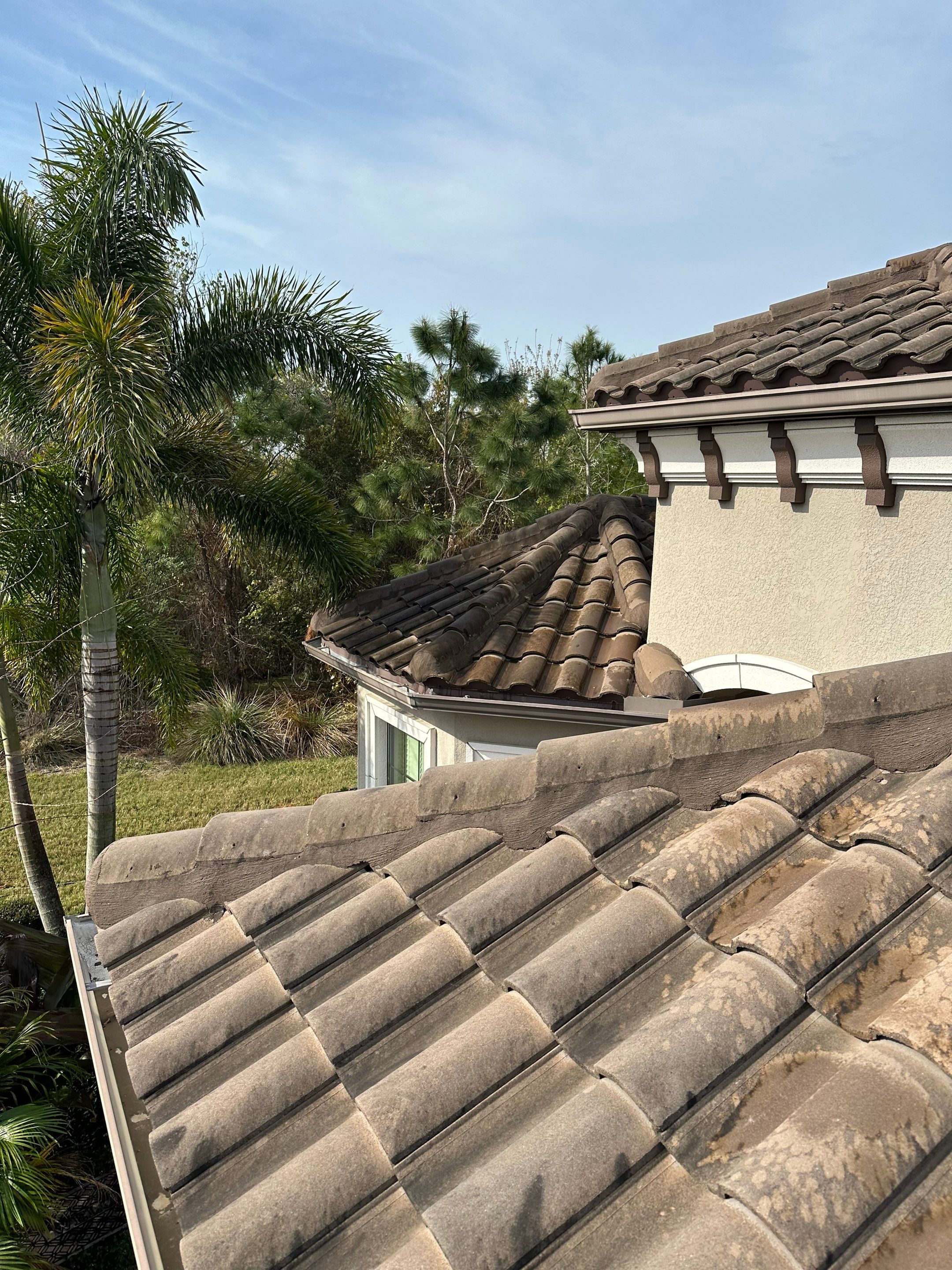 Concrete Tile Roof, Paver Pool Deck, Screen Enclosure & Driveway Cleaning in Artisan Lakes Esplanade, Palmetto, FL | Sunshine AquaWash by Sunshine AquaWash