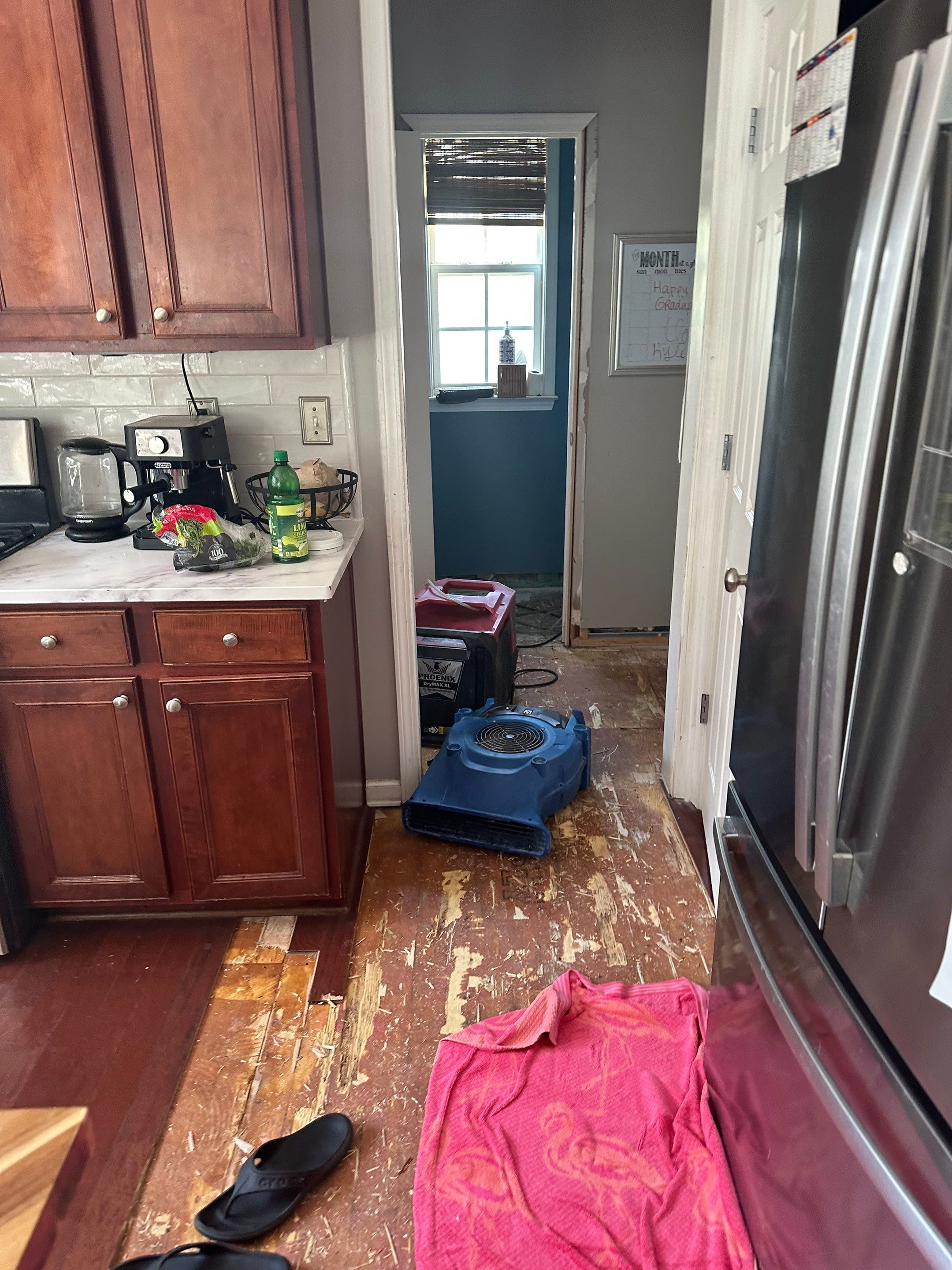 Project in Cumming by MoldTrust, Inc.