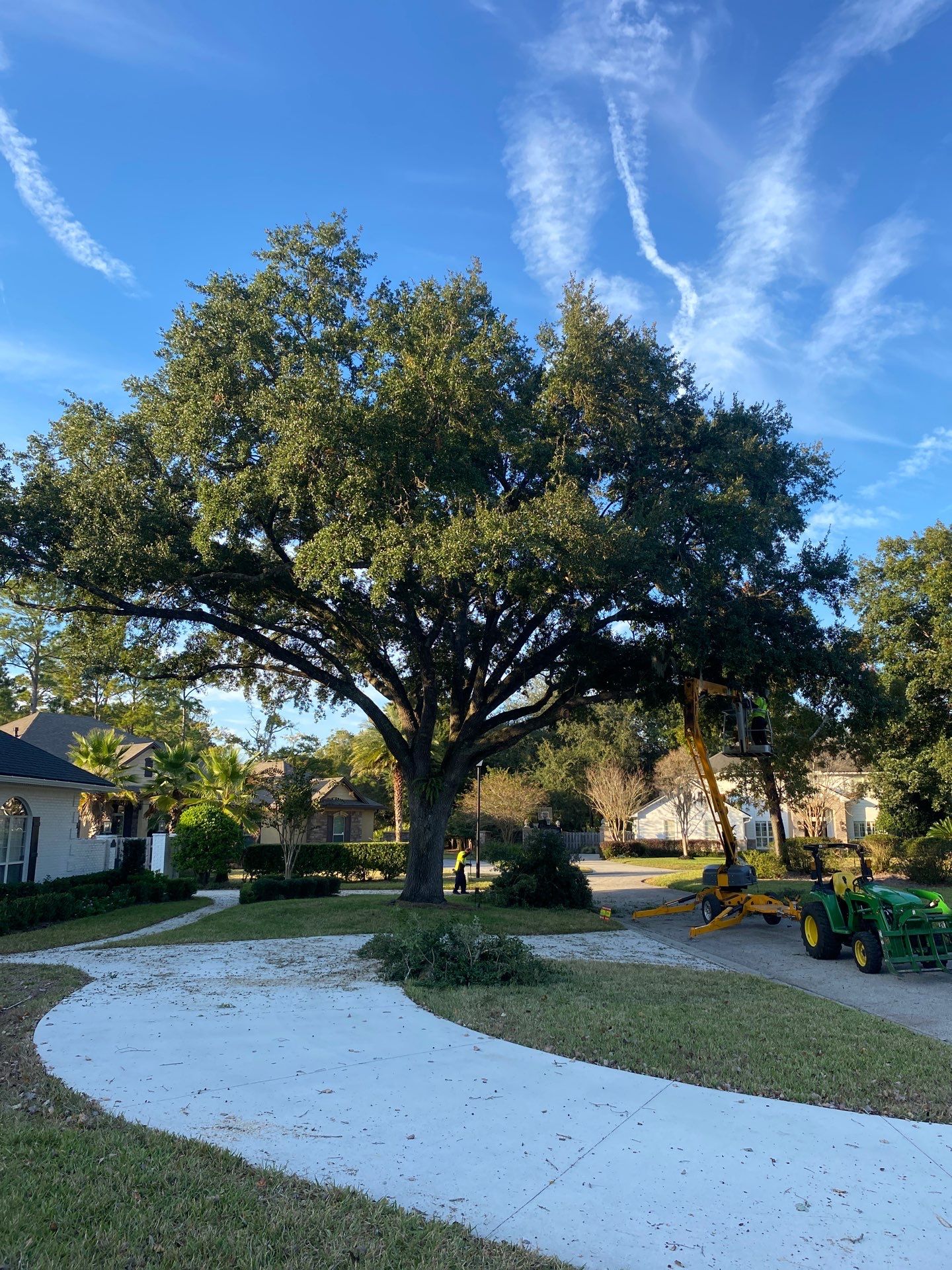 Deerwood Resident | Tree Removal & Shrub Shaping by ProGreen Services