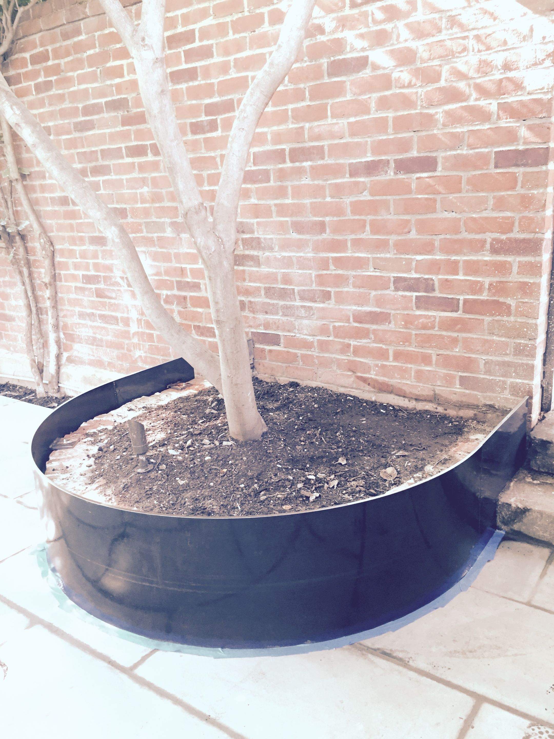 Custom Steel Tree Boxes & Planters – Urban Landscaping – Washington, DC by Capitol Iron Works