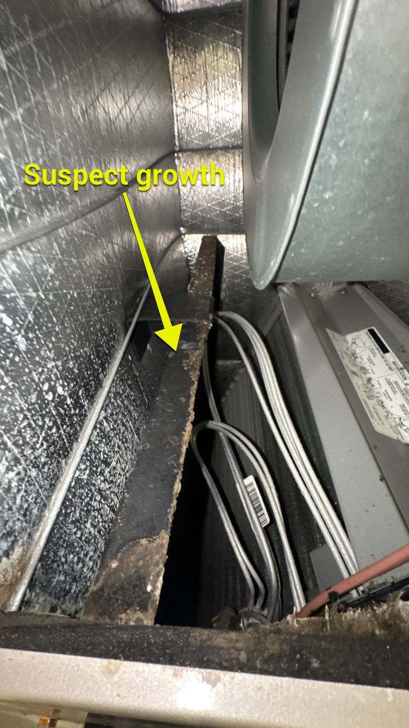 Air Duct Cleaning in Leesburg by Hygienic Air, Inc