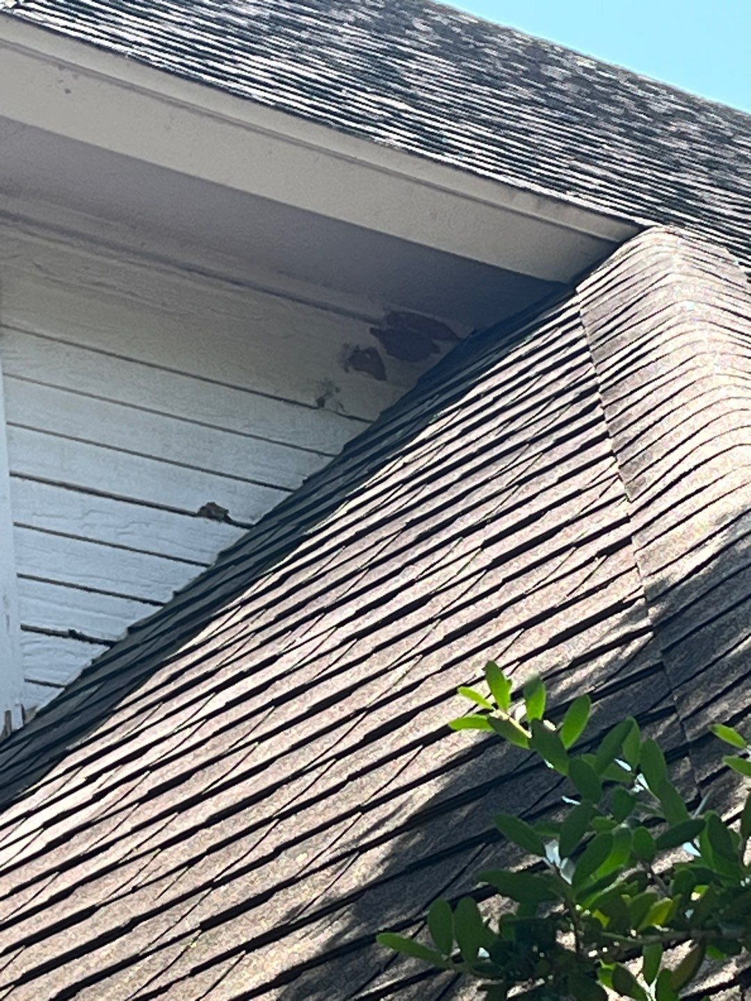 Grey is the new Black by Bayfront Roofing and Construction