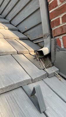 Turtle Shell gutter protection installation in Naperville, IL 60565, photograph 4