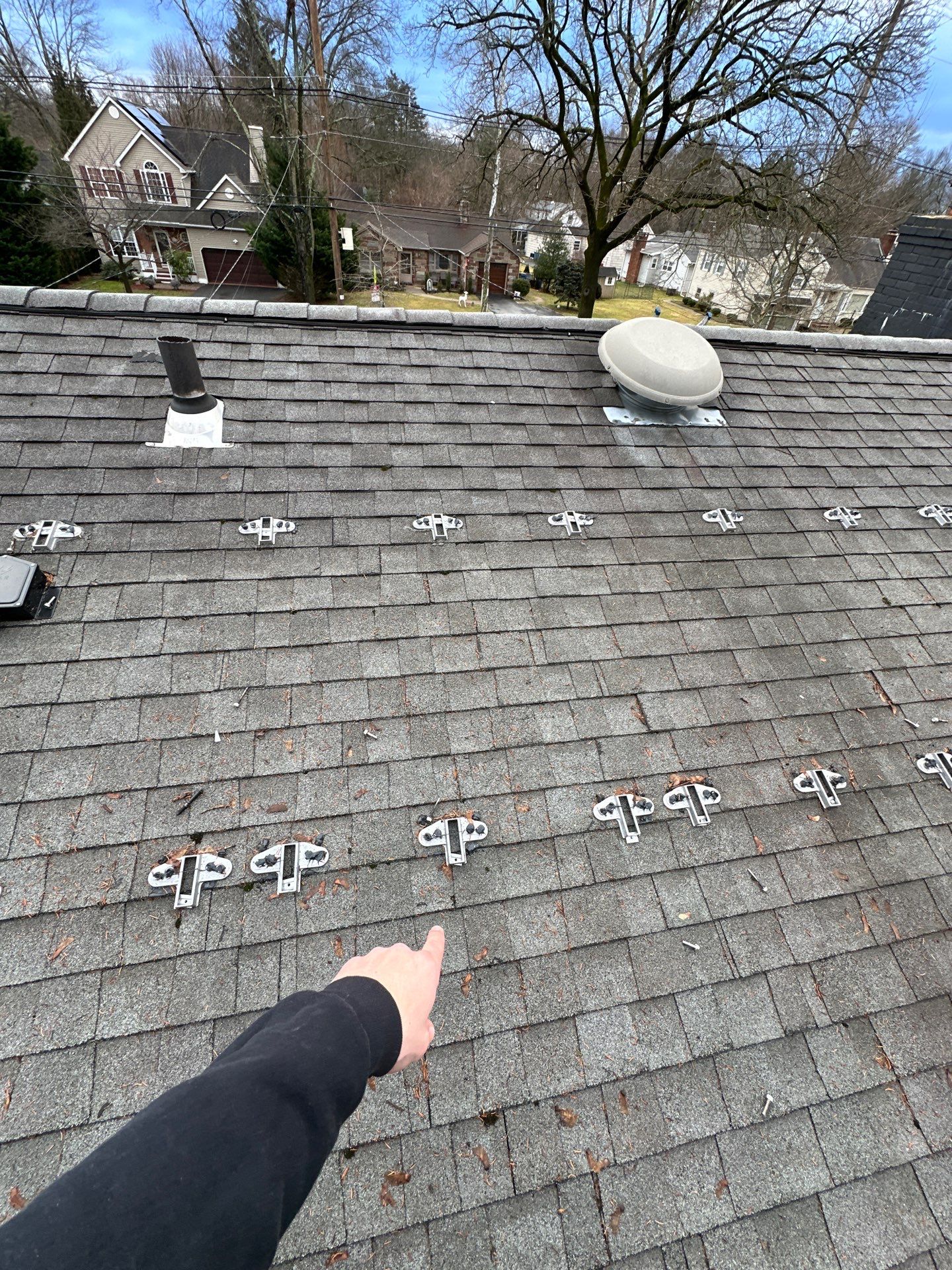 Silver Birch Shingles by Reimagine Roofing