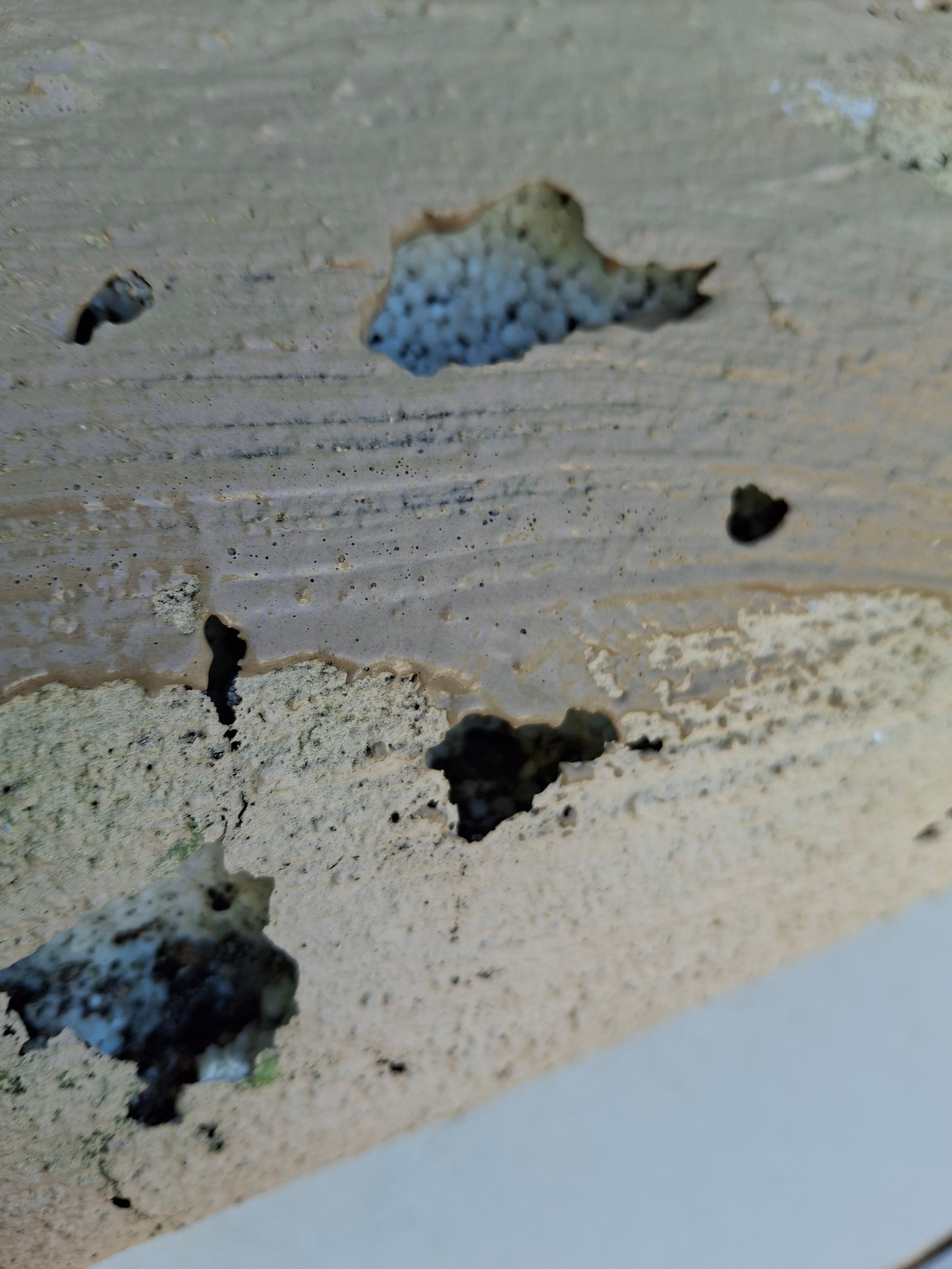 Project in North Fort Myers by Sunbelt Home Solutions