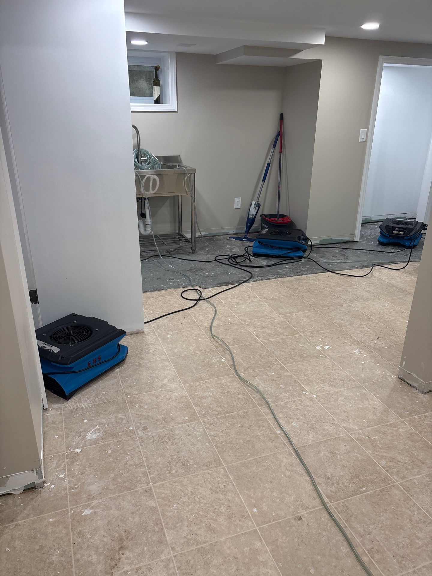 Basement Moisture Remediation in Mineola by EMS Restoration Corp